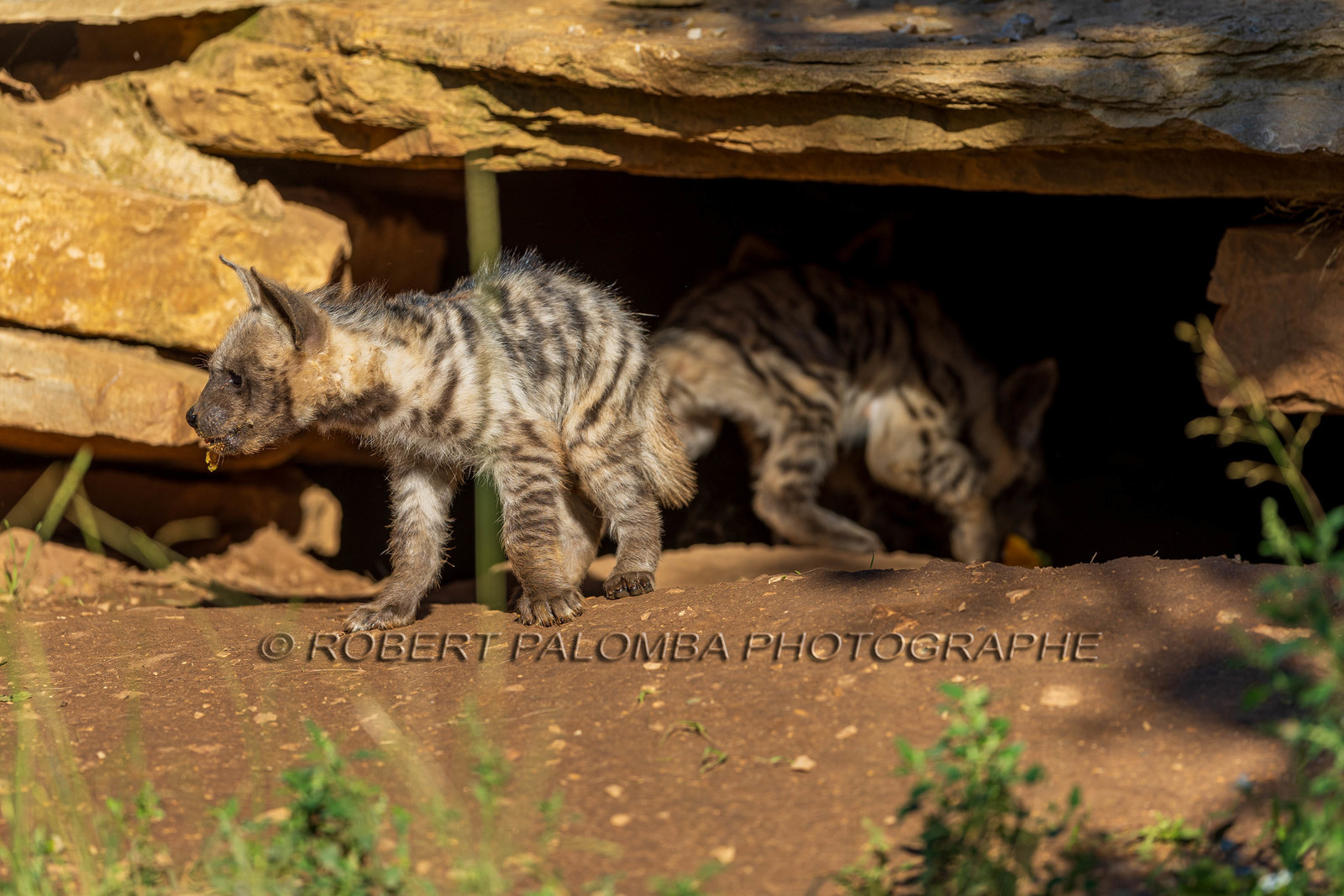Parc animalier de la Barben