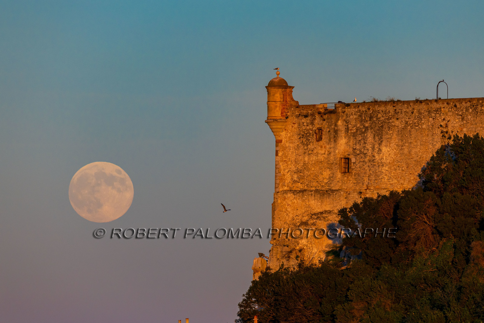 Lérins Sainte Marguerite 2024