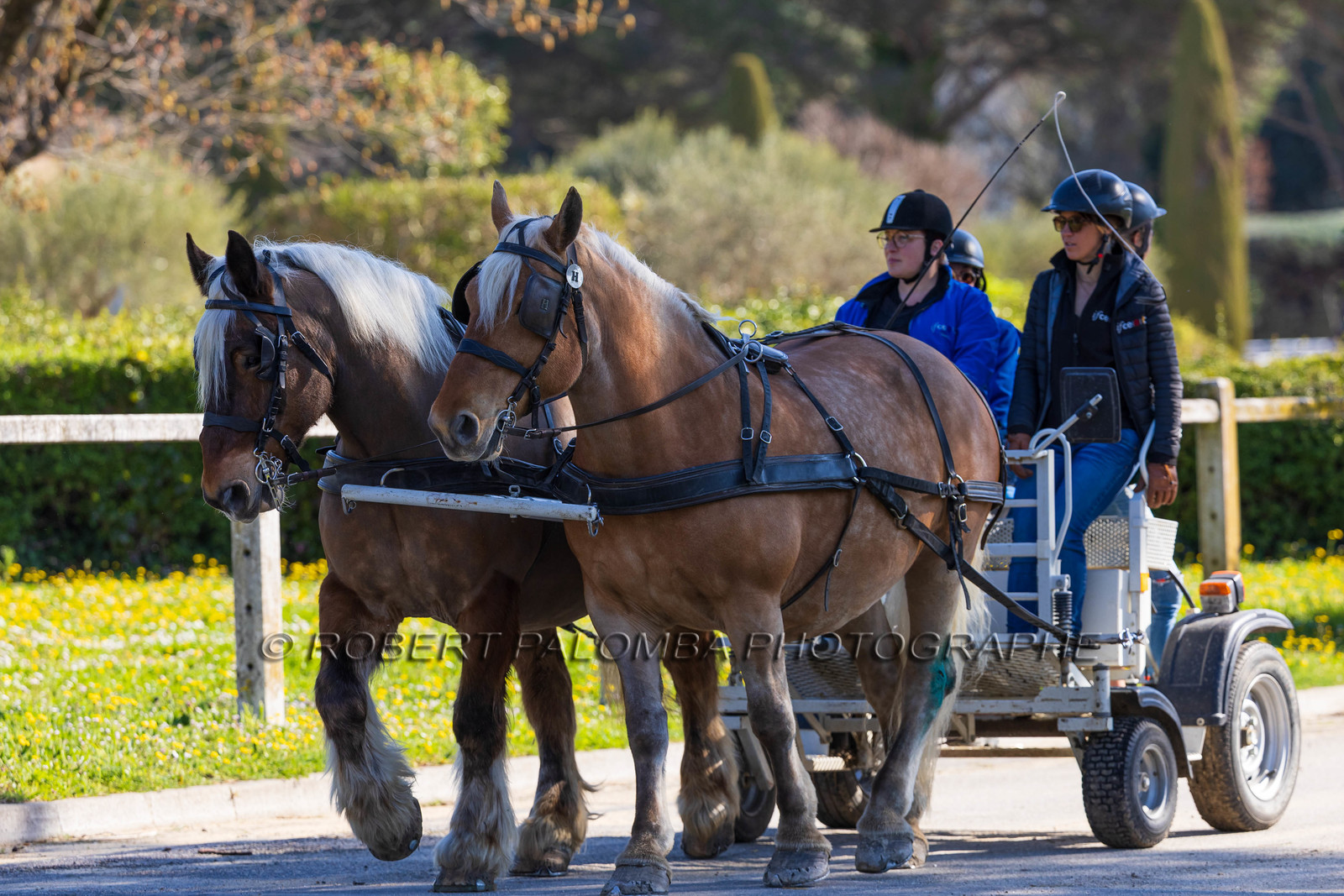 Haras national d'Uzès