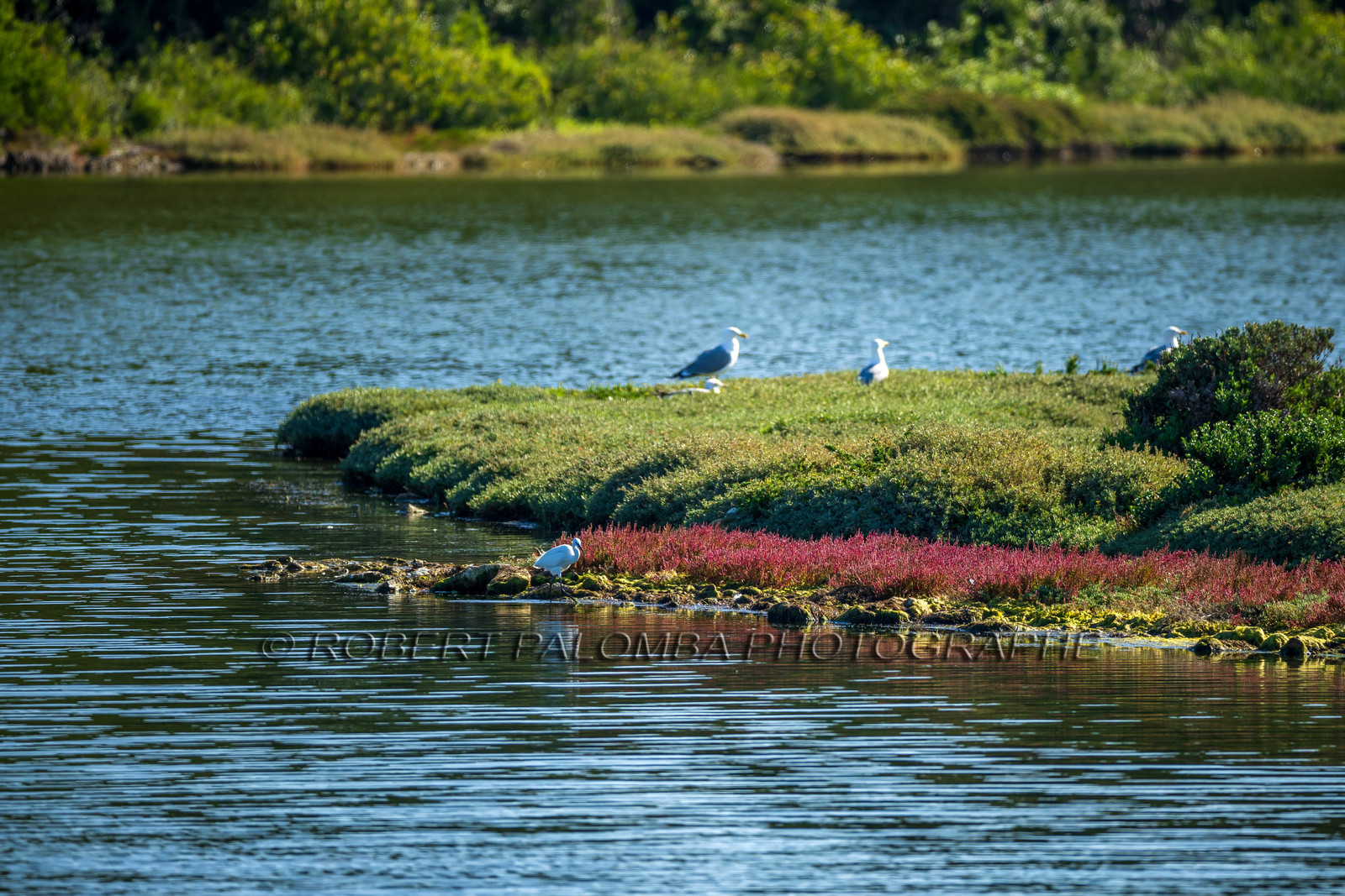 Lérins Sainte-Marguerite