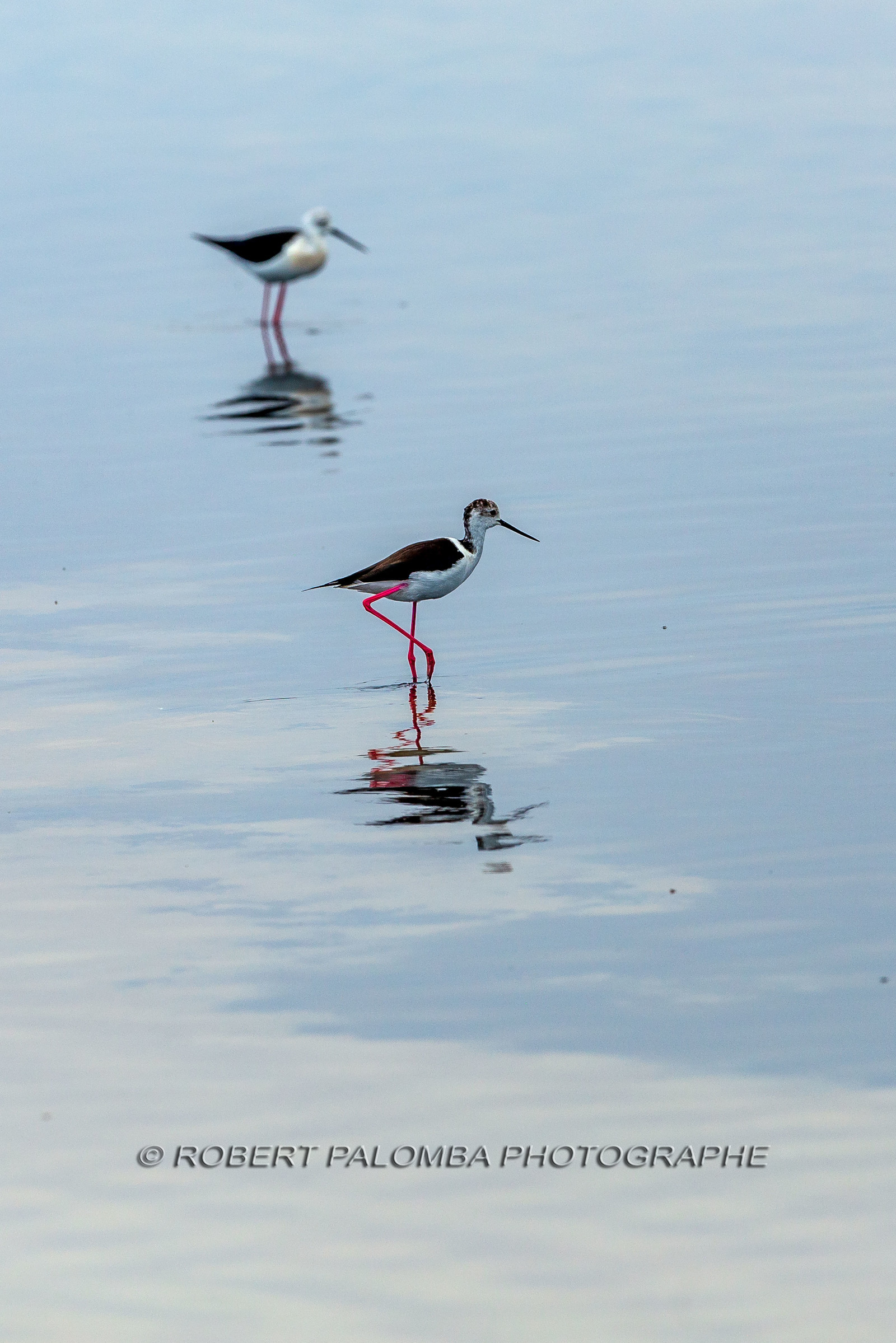 Salins d'Hyères