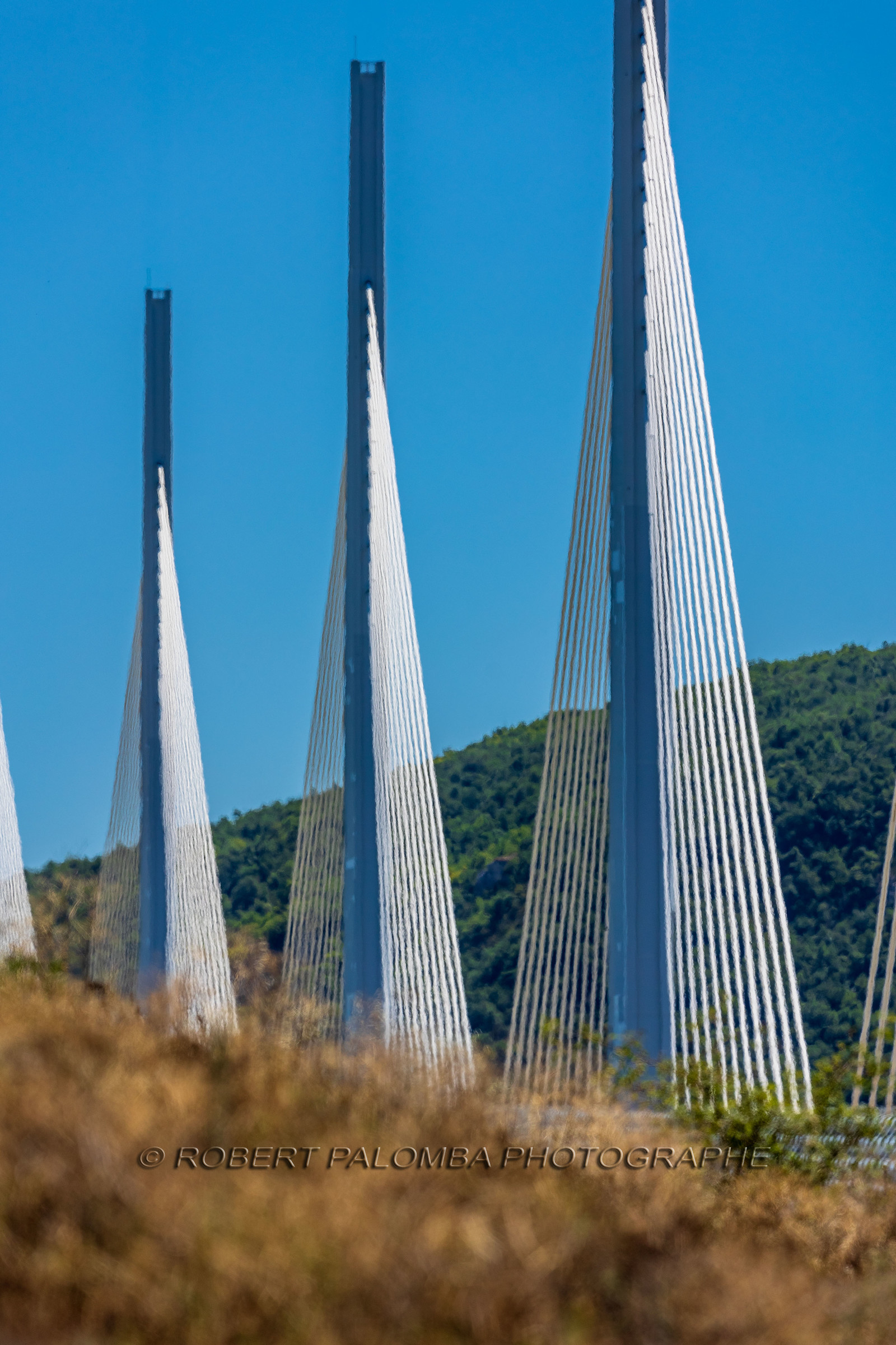 Viaduc de Millau