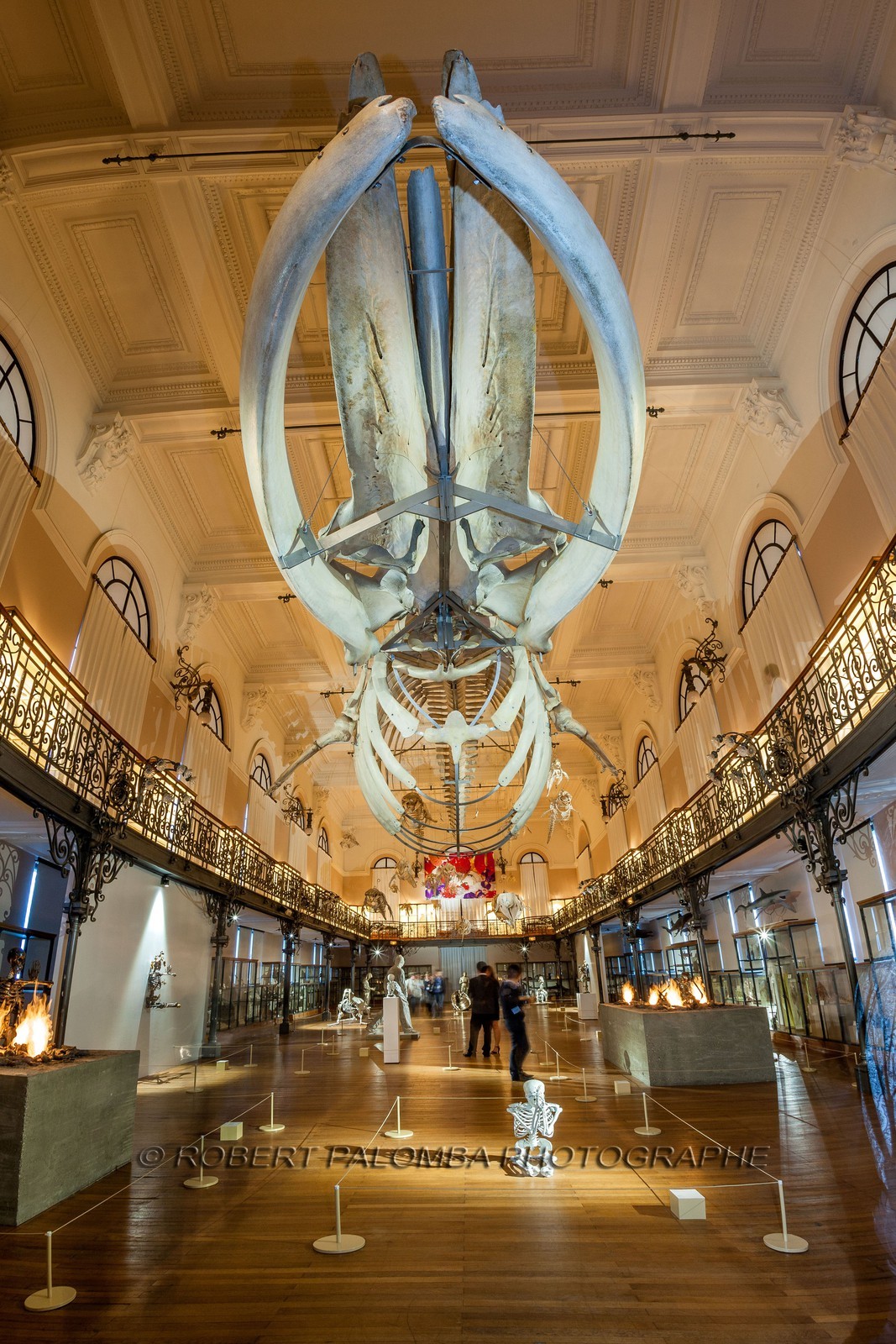 Musée Océanographique de Monaco