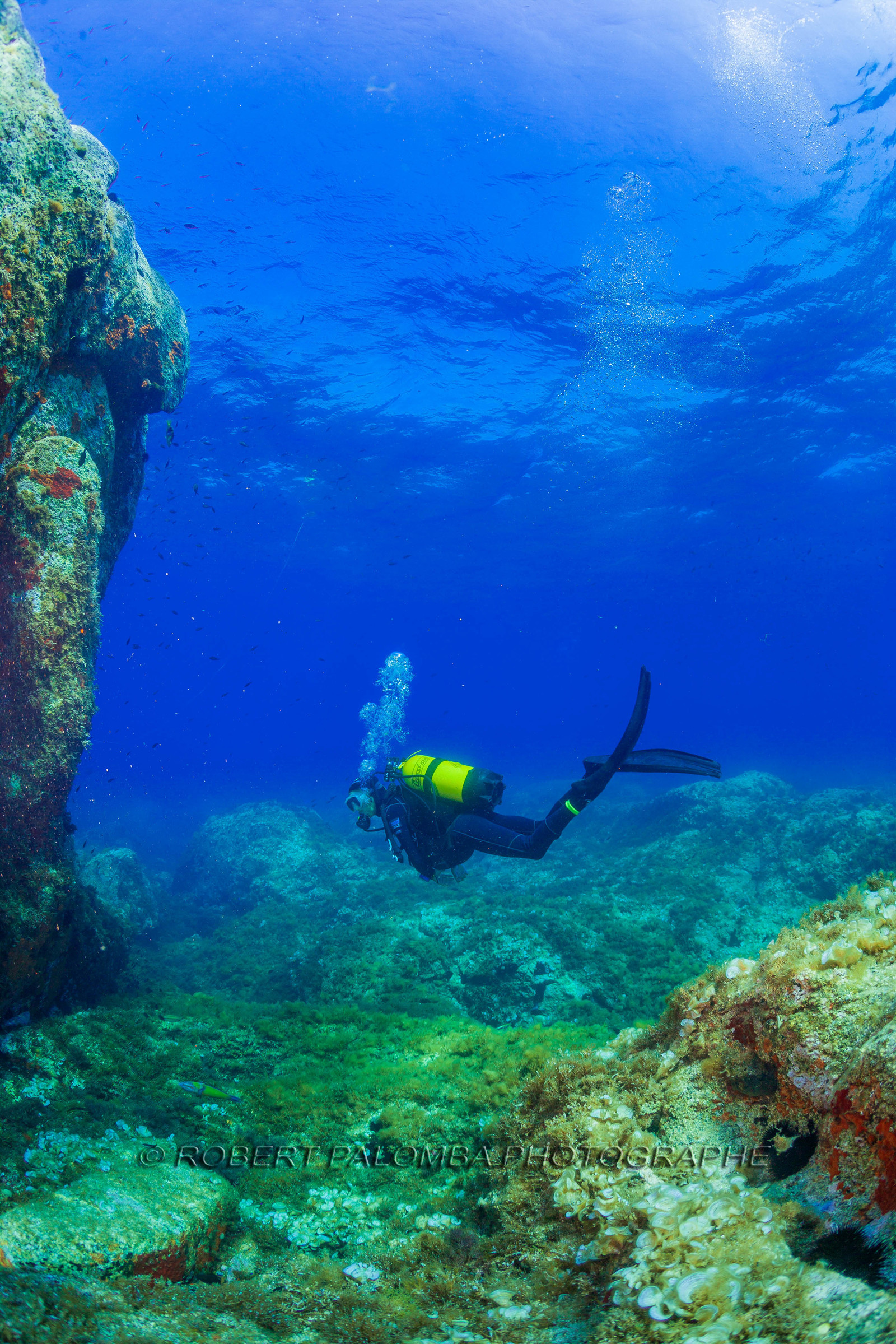 Plongée-sous-marine
