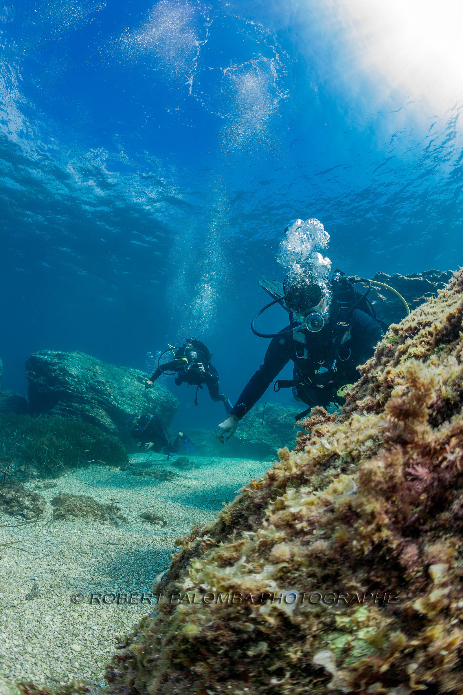 Plongée sous-marine