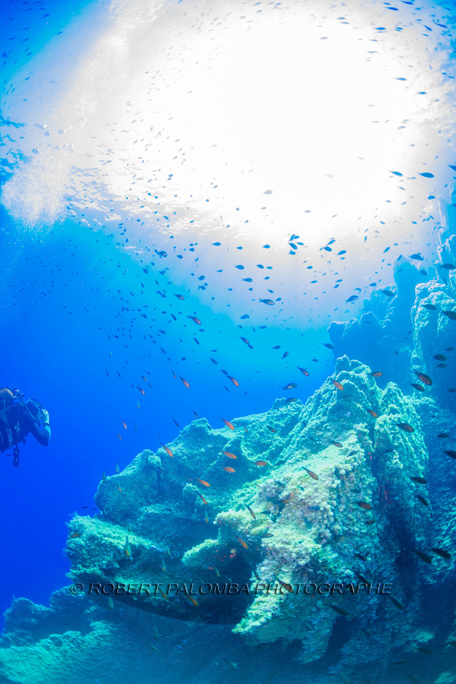 Plongée-sous-marine
