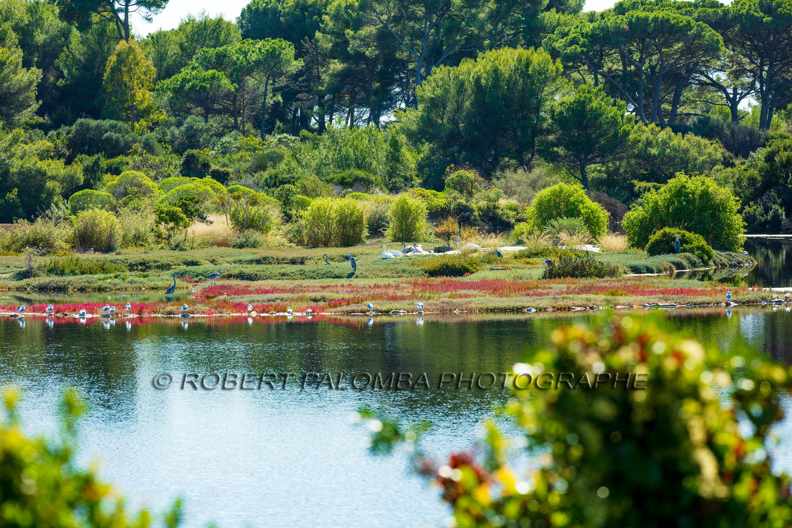 Lérins, Sainte-Marguerite