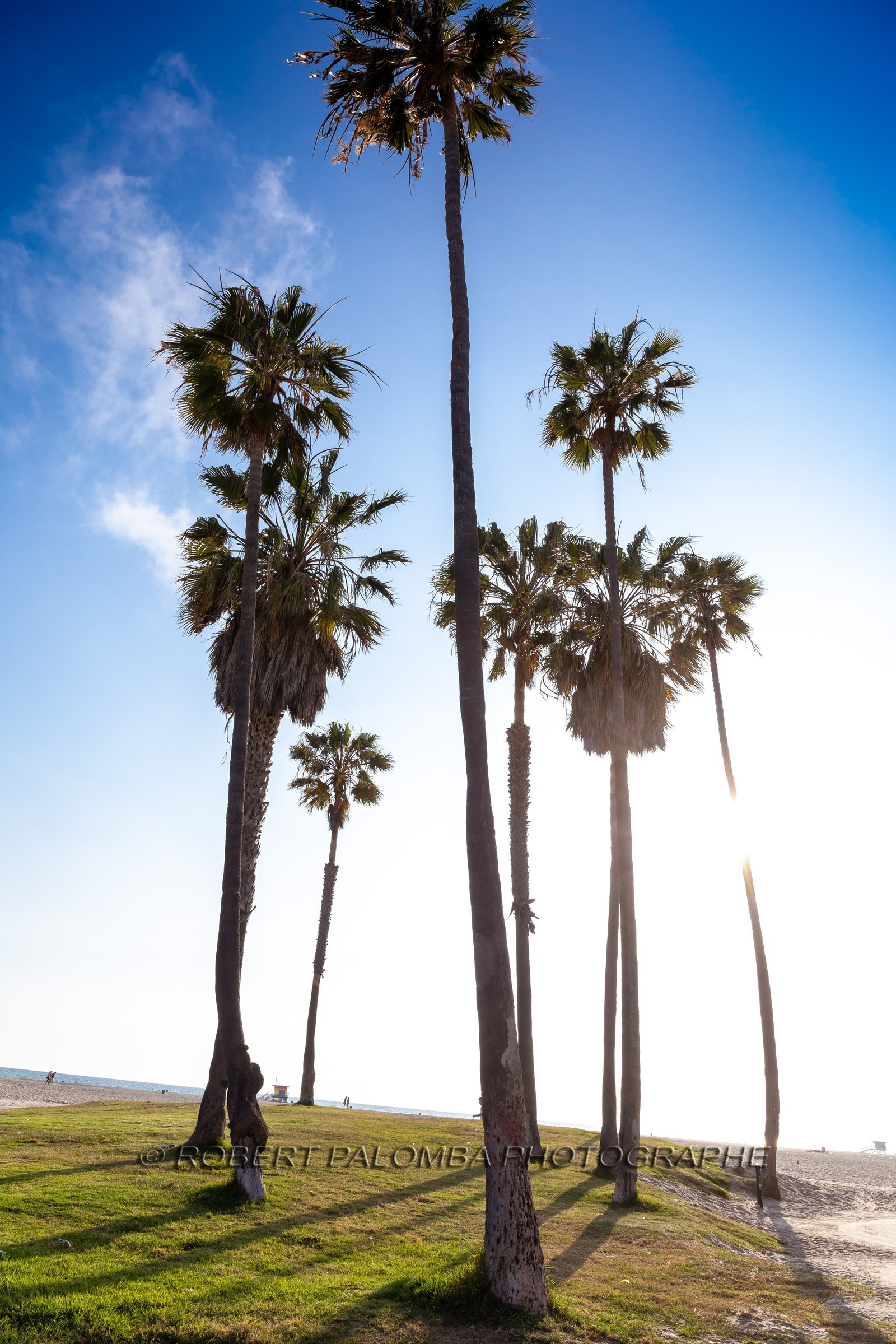 Etats-Unis, Californie-du-Sud, Los Angeles, Venice, Venice Beach