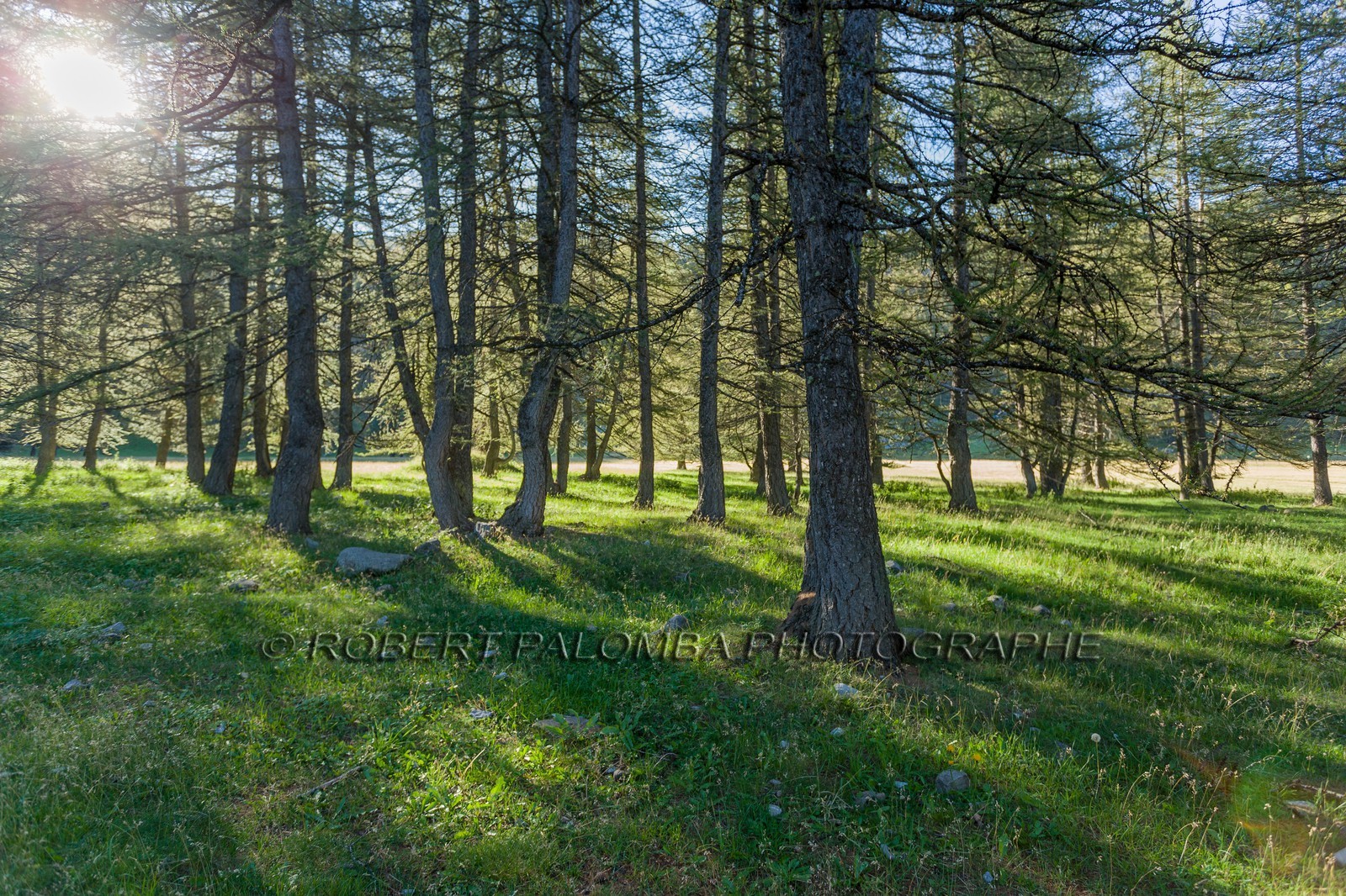 Col de la Petite Cayolle