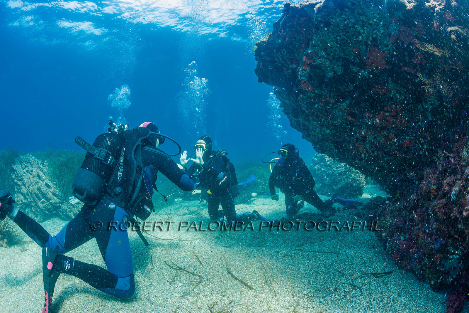 Plongée sous-marine