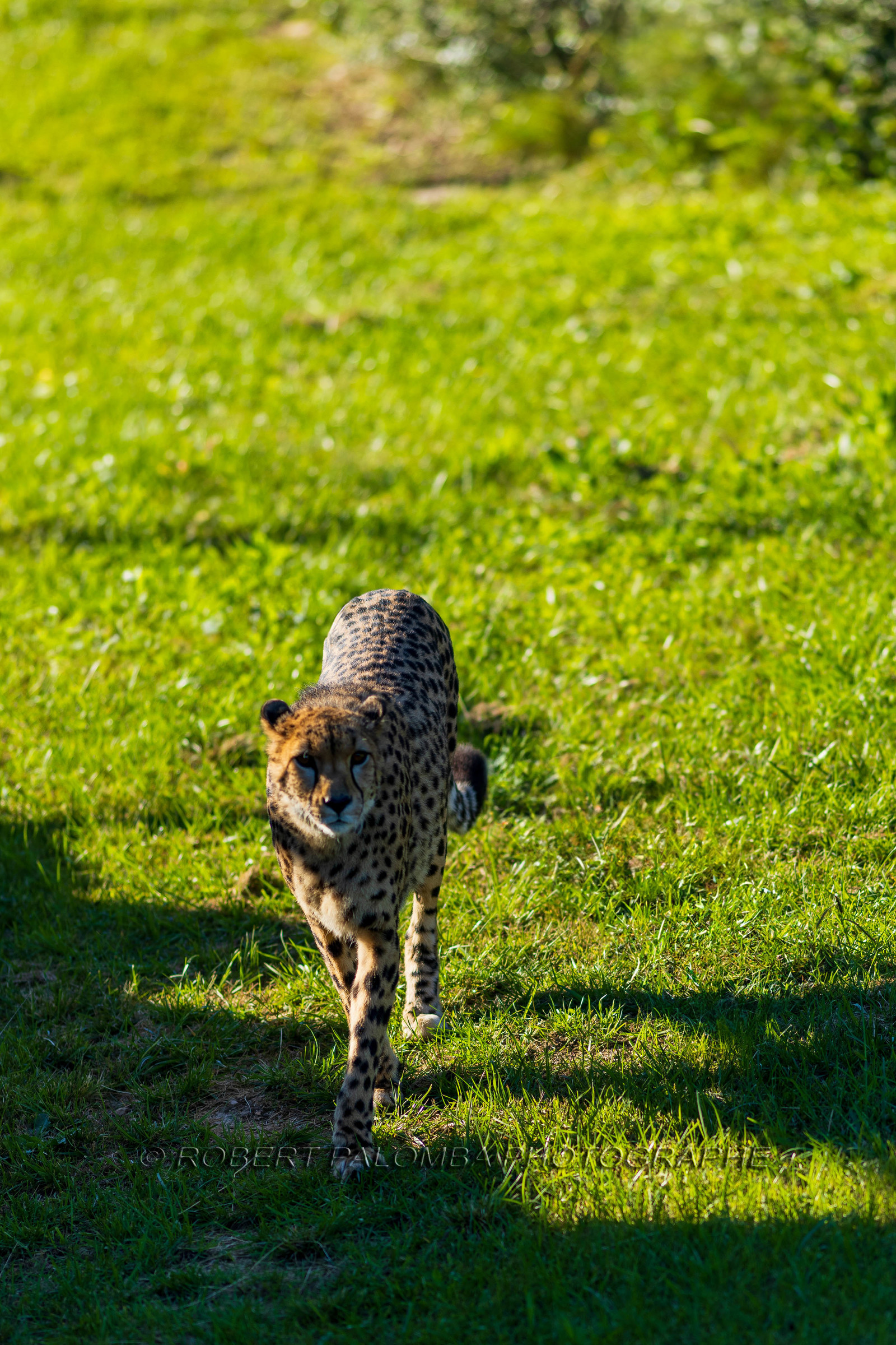 Parc animalier de la Barben