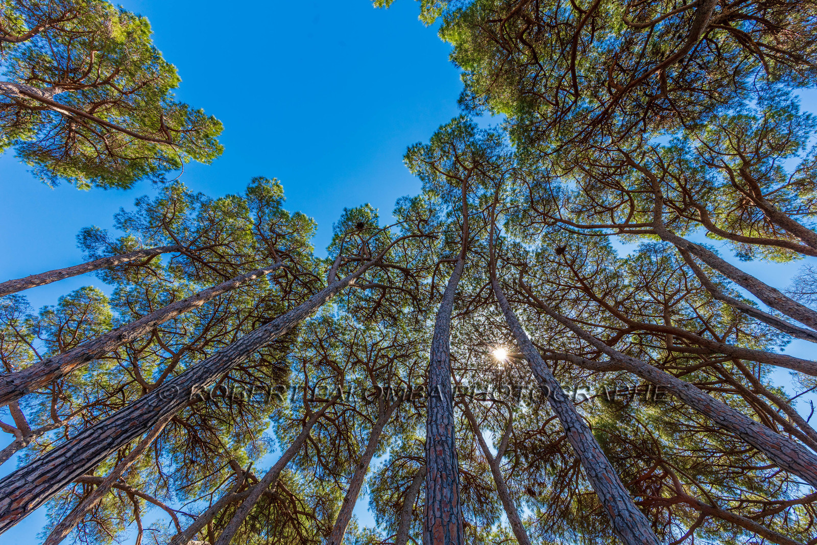 Lérins, Sainte-Marguerite