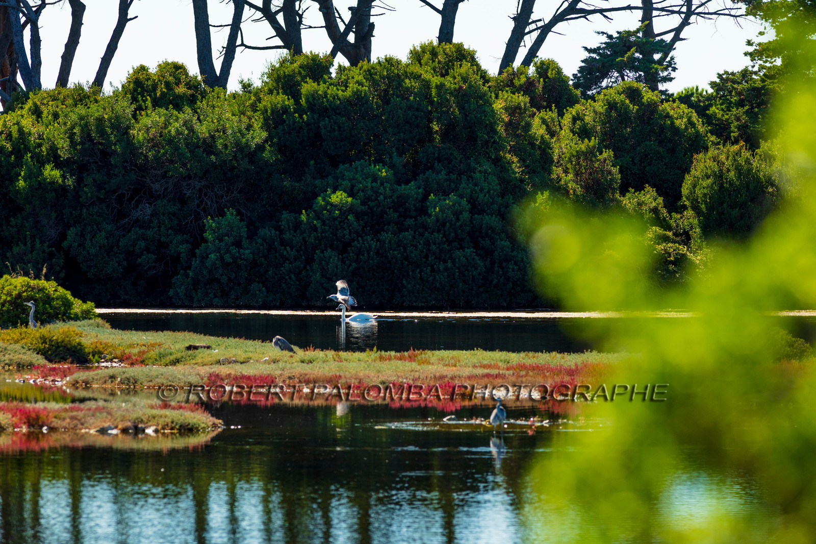 Lérins, Sainte-Marguerite