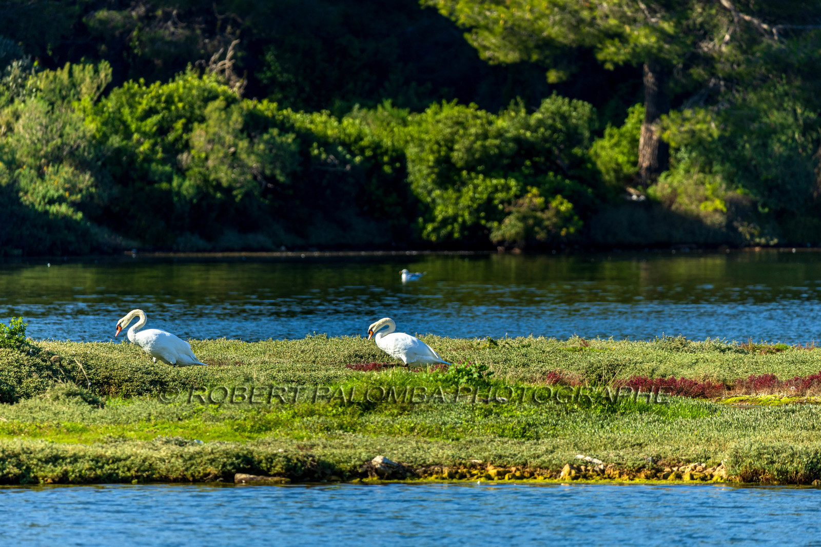 Lérins Sainte-Marguerite