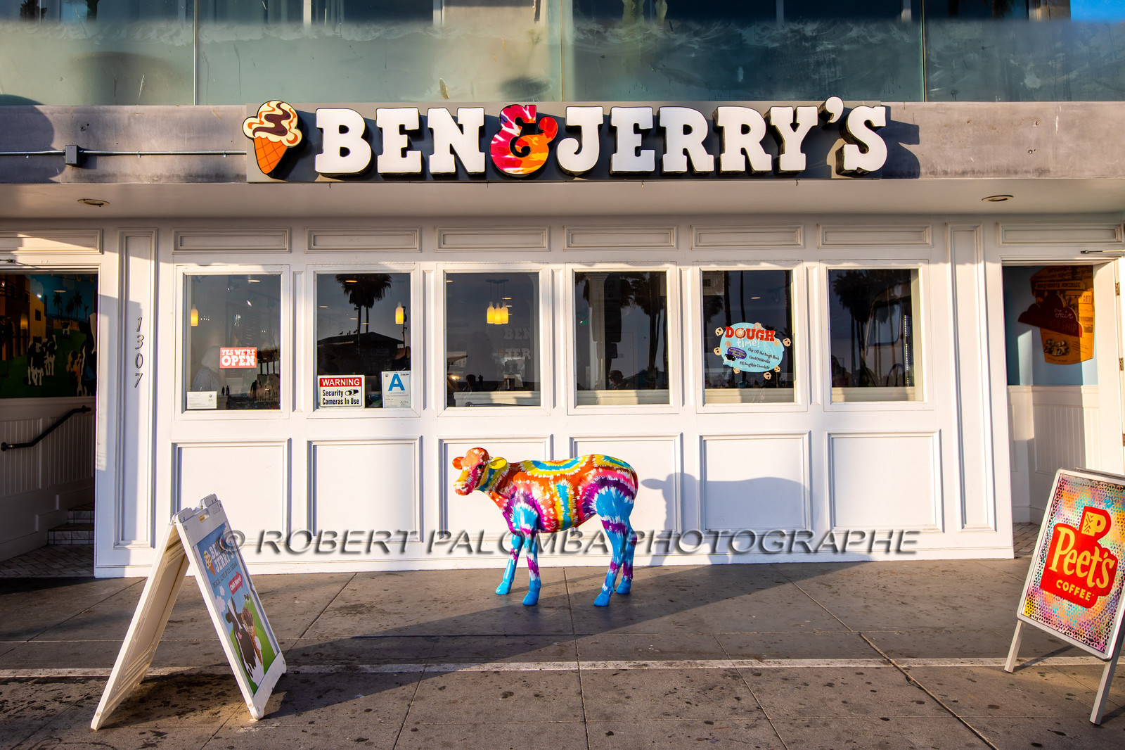 Etats-Unis, Californie-du-Sud, Los Angeles, Venice, Venice Beach