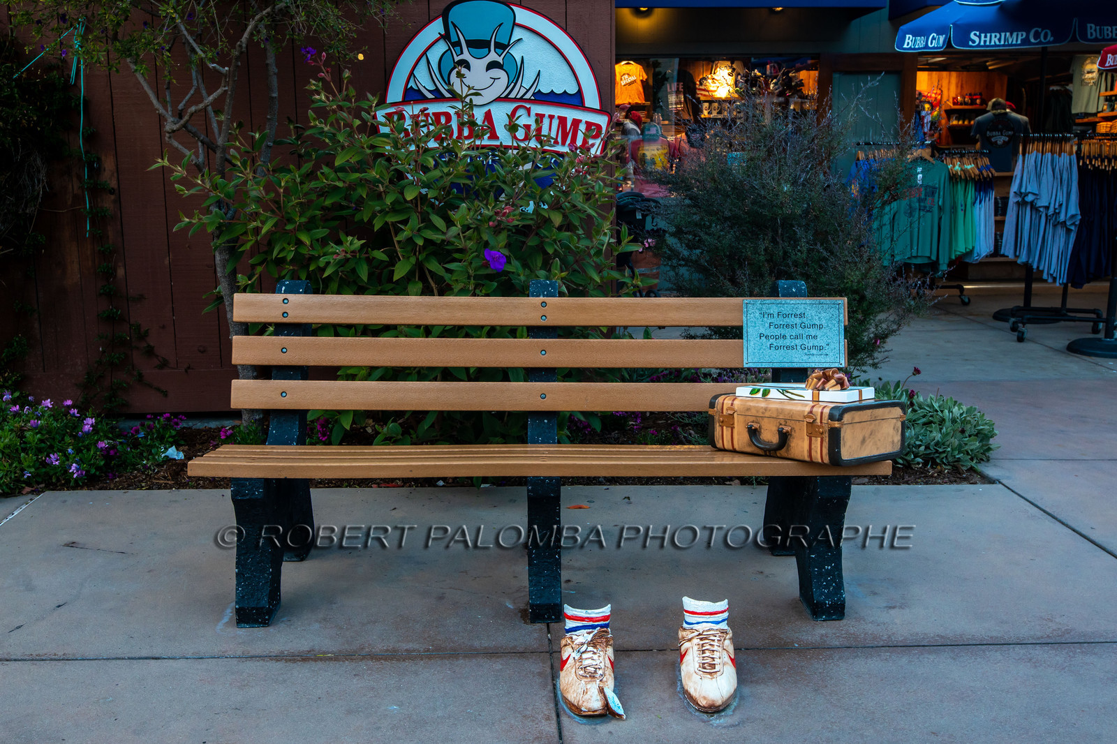 Banc de Forest Gump à Monterey