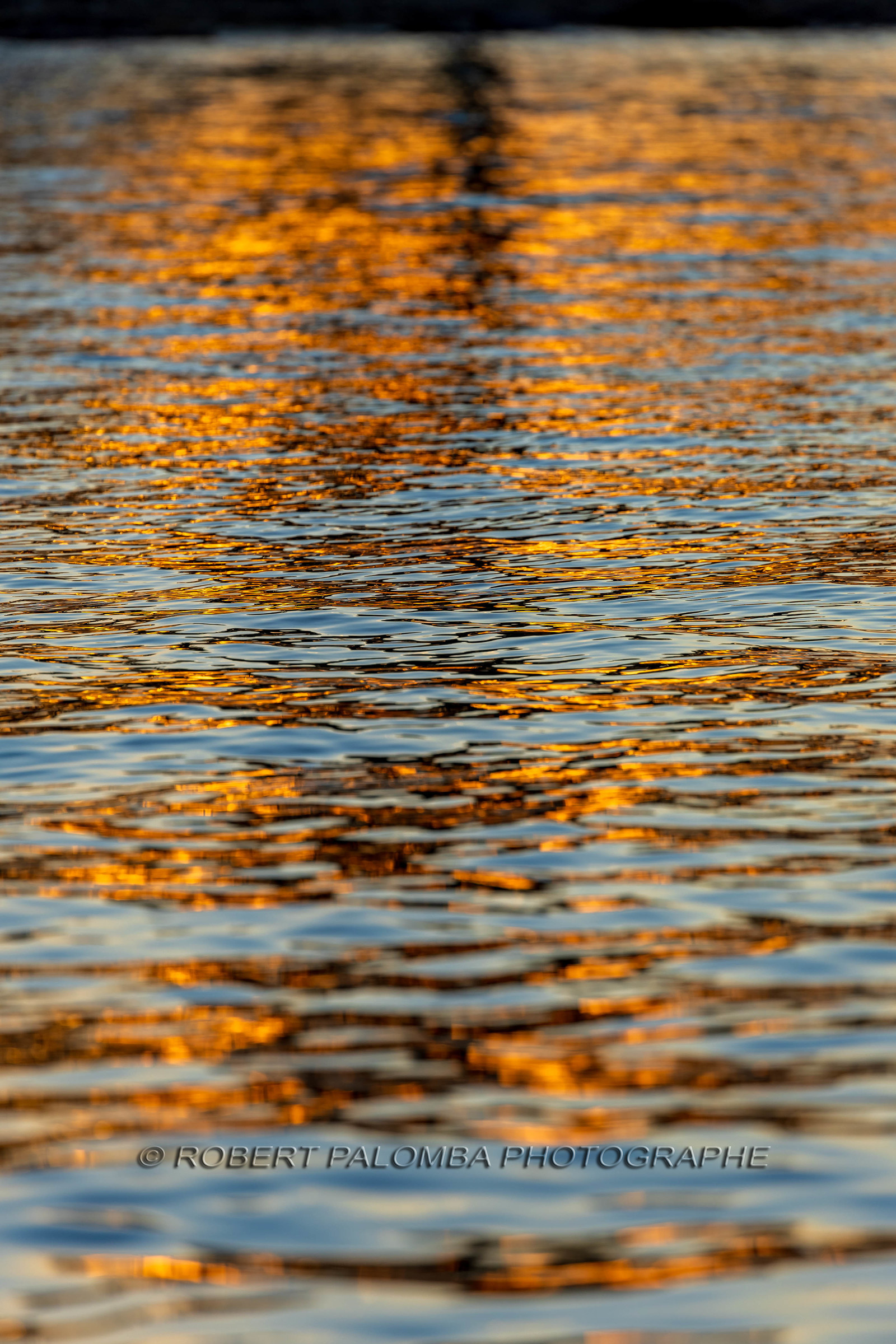 Lérins Sainte-Marguerite 2024
