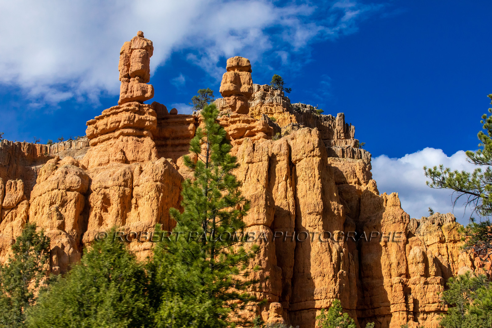 Sur la route en quittant Bryce Canyon