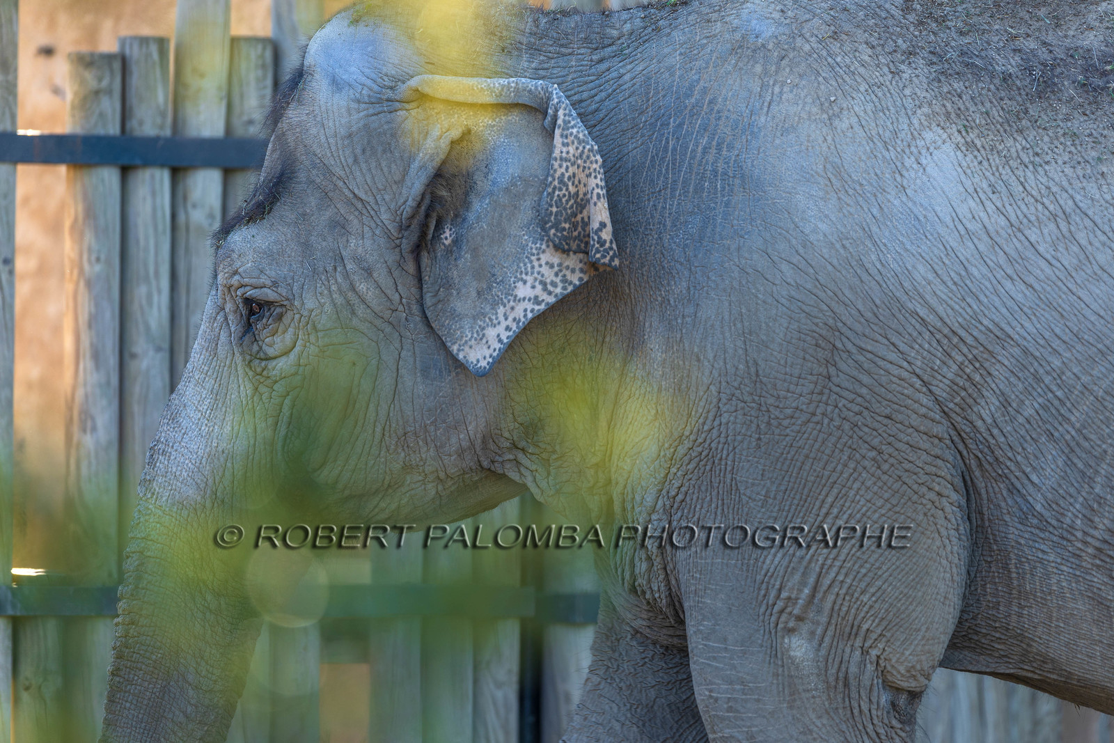 Parc animalier de la Barben