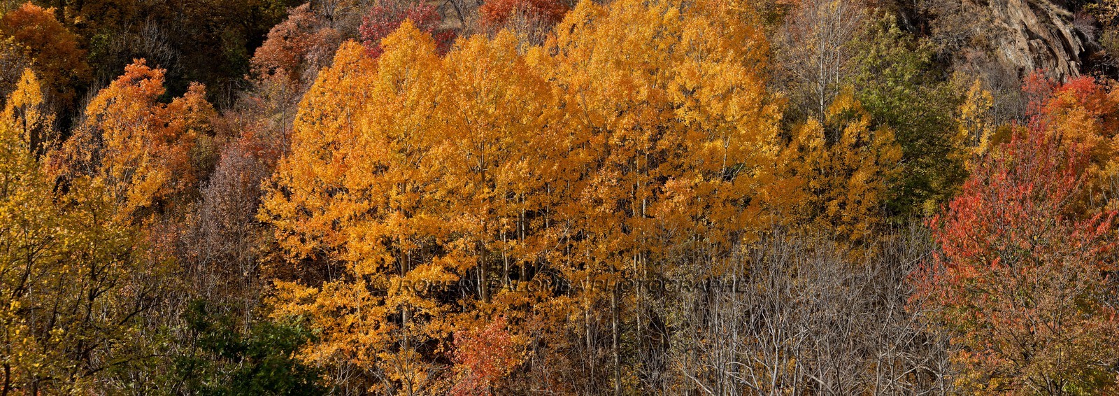 Saint-Etienne-de-Tinée