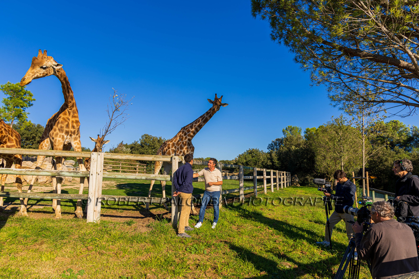 Parc animalier de la Barben