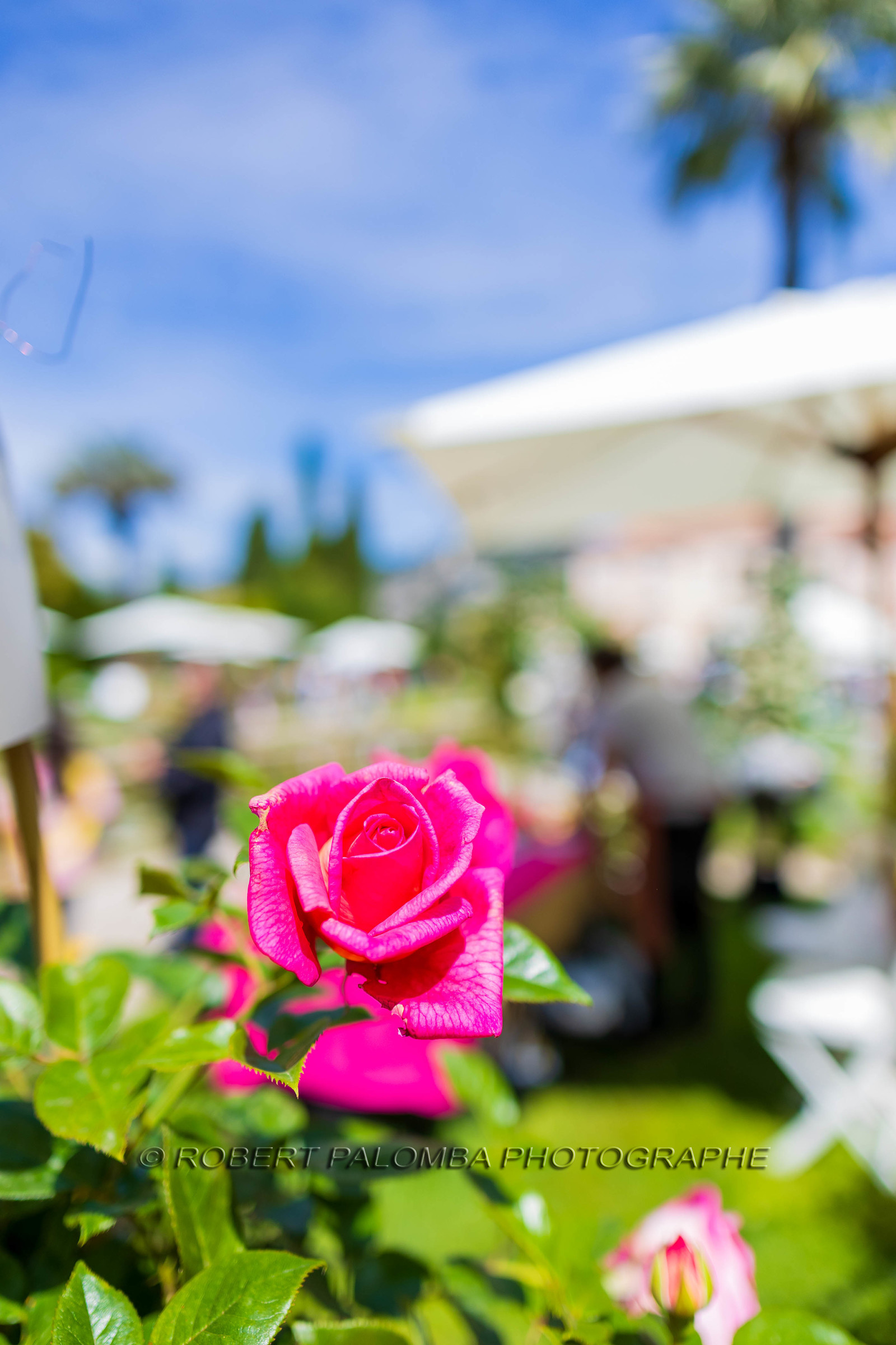 Saint-Jean-Cap-Ferrat