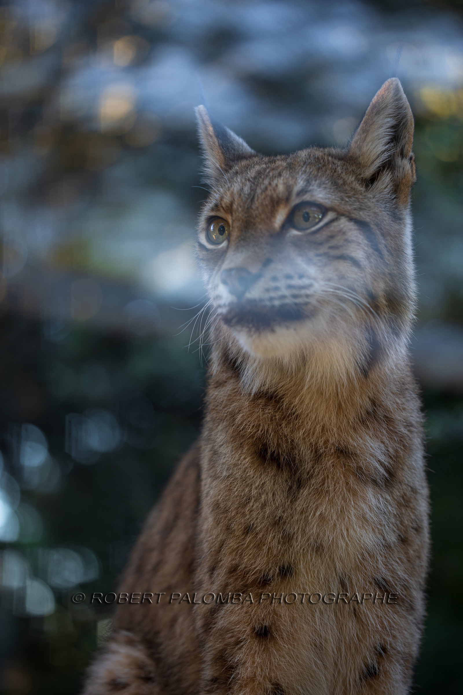 Parc animalier de la Barben