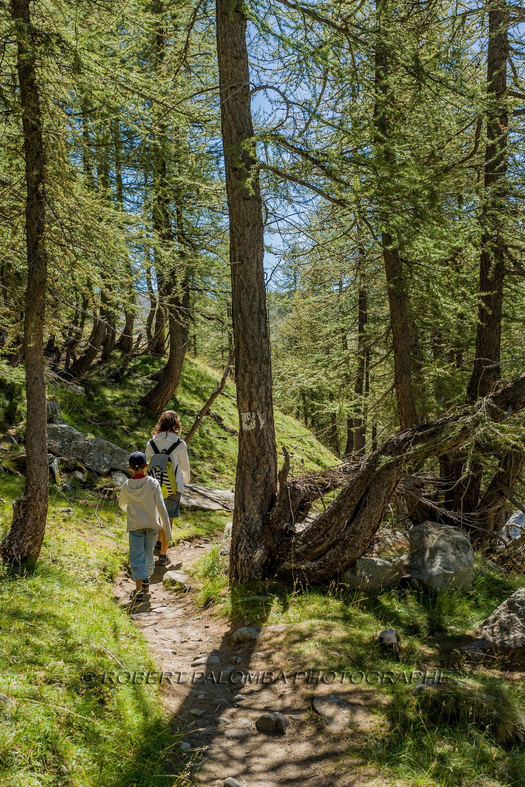Col de la Petite Cayolle