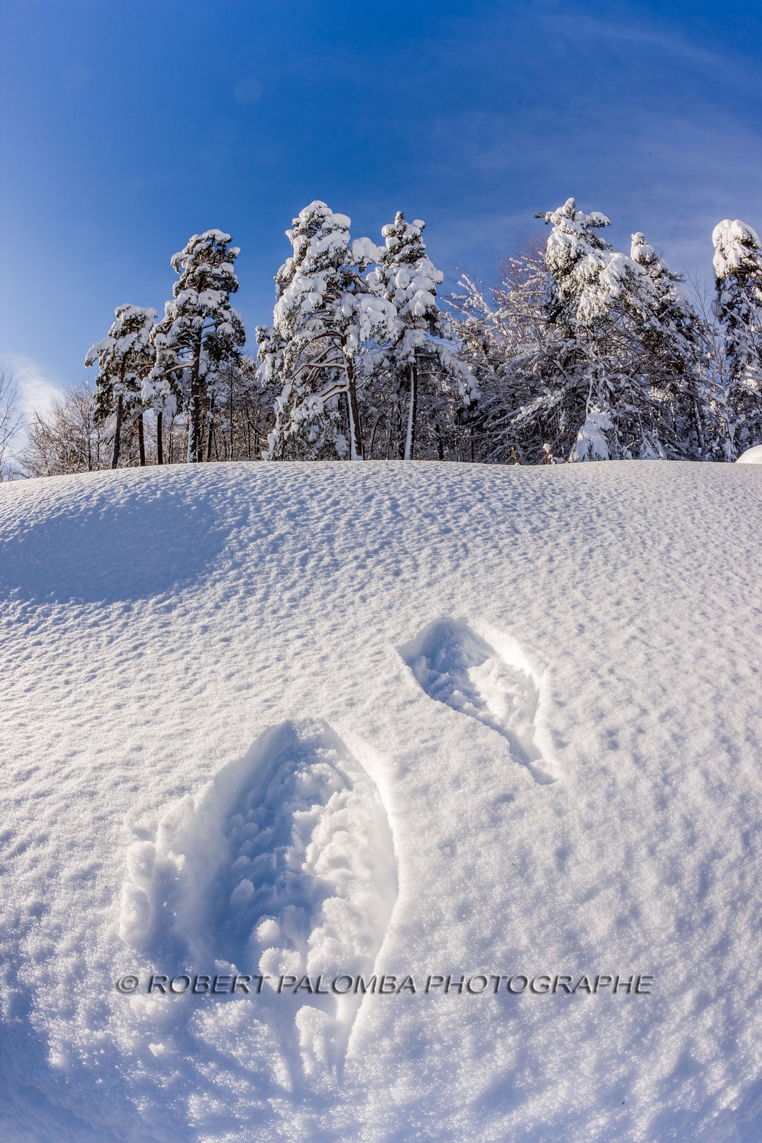 La Colle-Saint-Michel