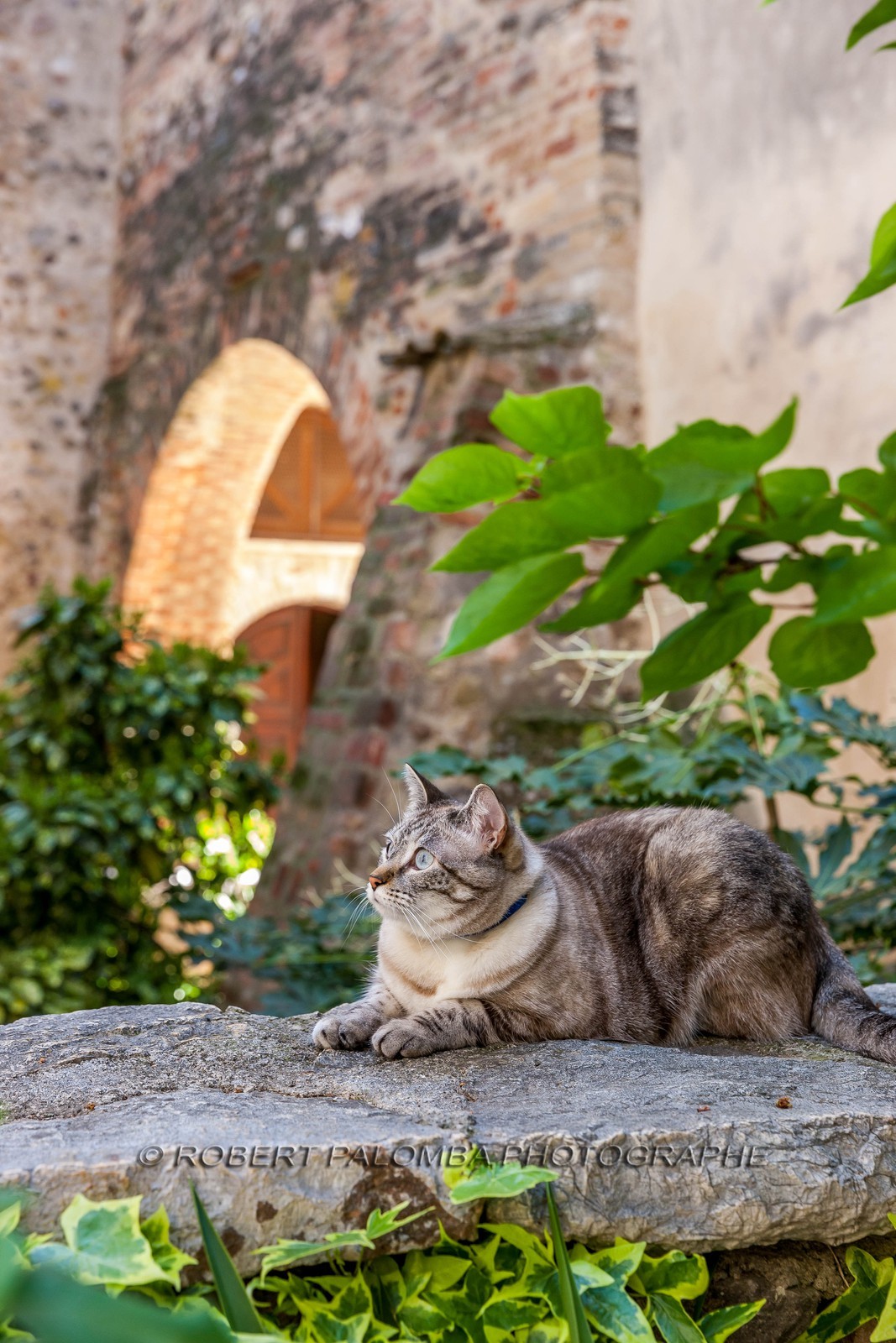 Saint-Laurent-du-Var