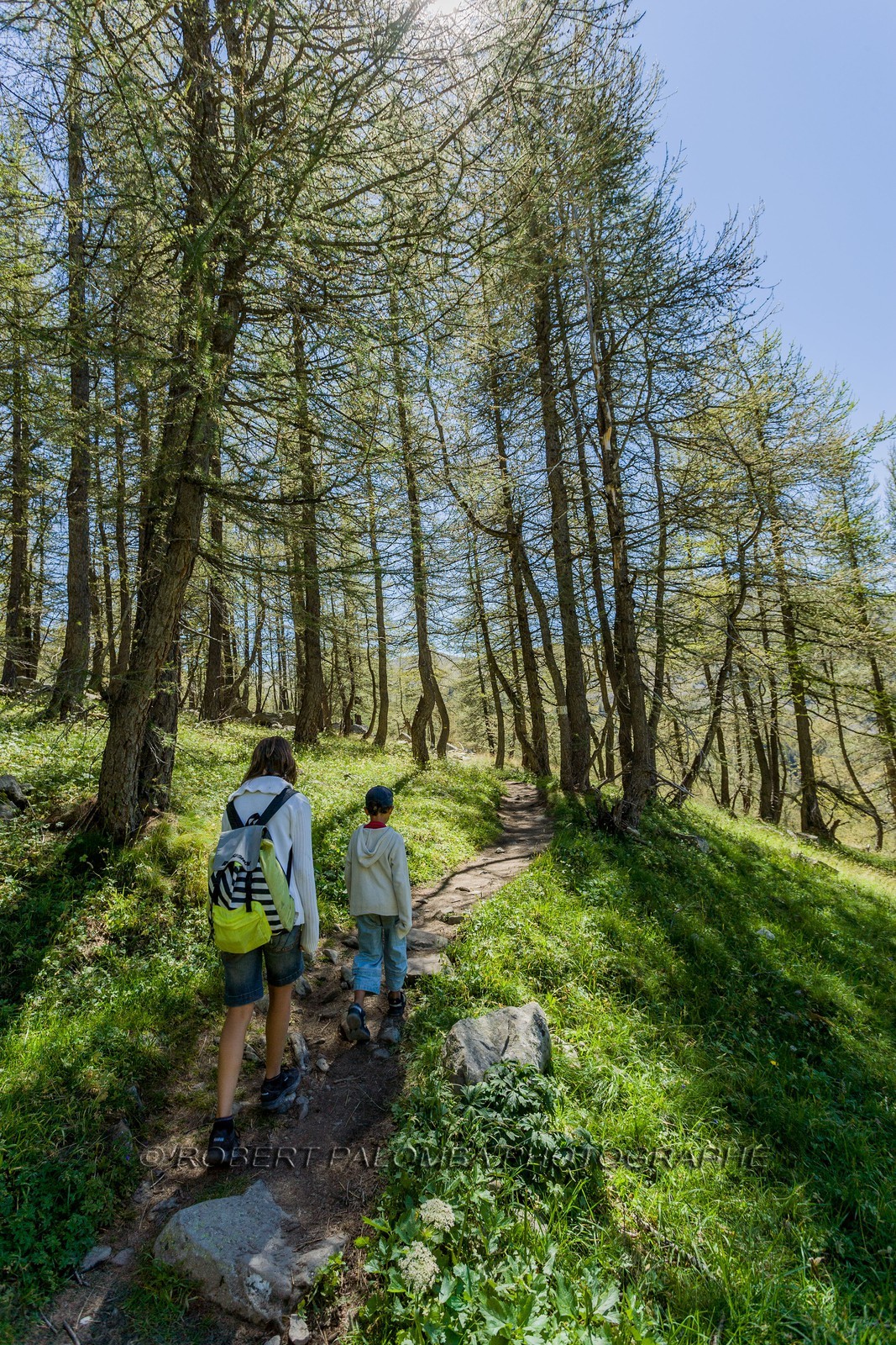 Col de la Petite Cayolle