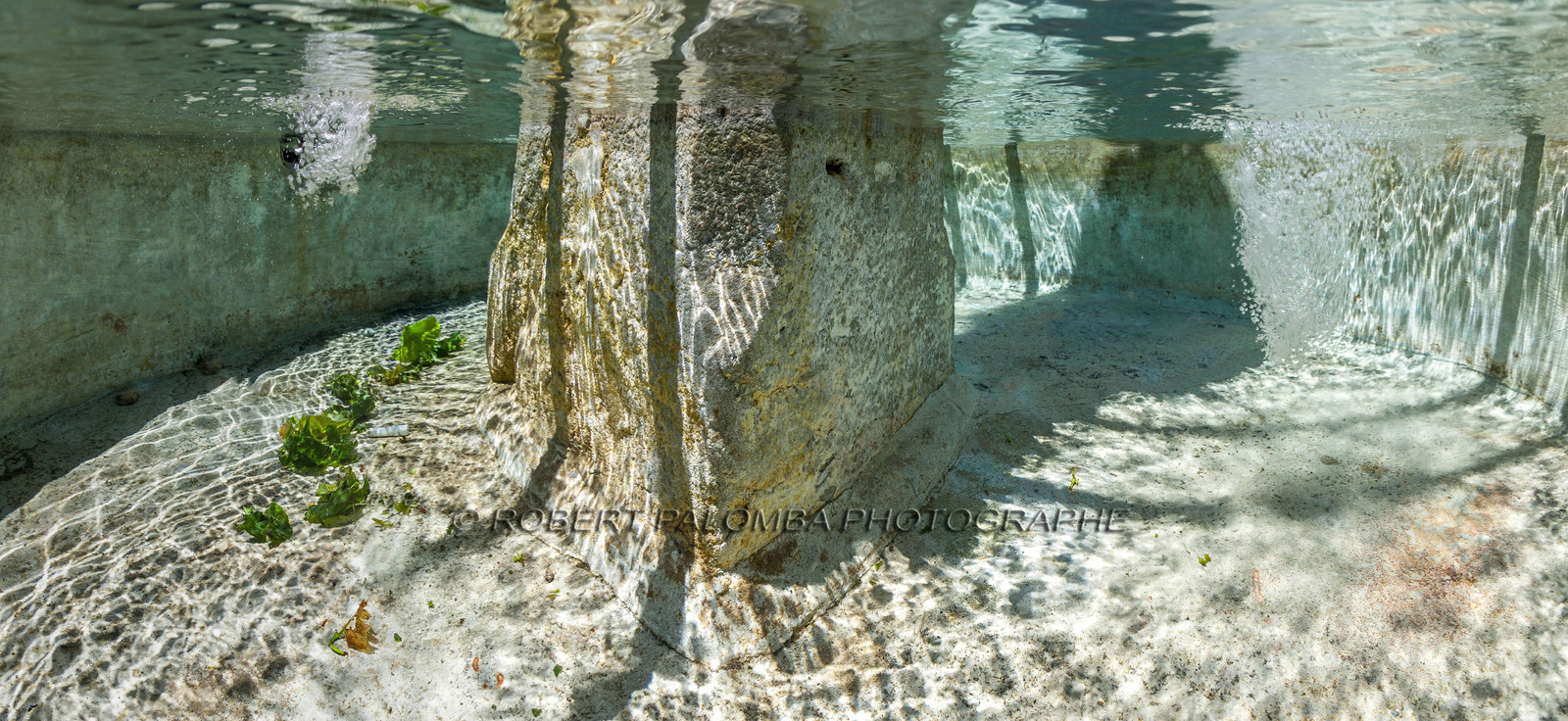 Saint-Dalmas-le-Selvage