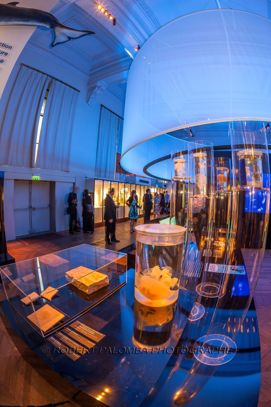 Musée Océanographique de Monaco