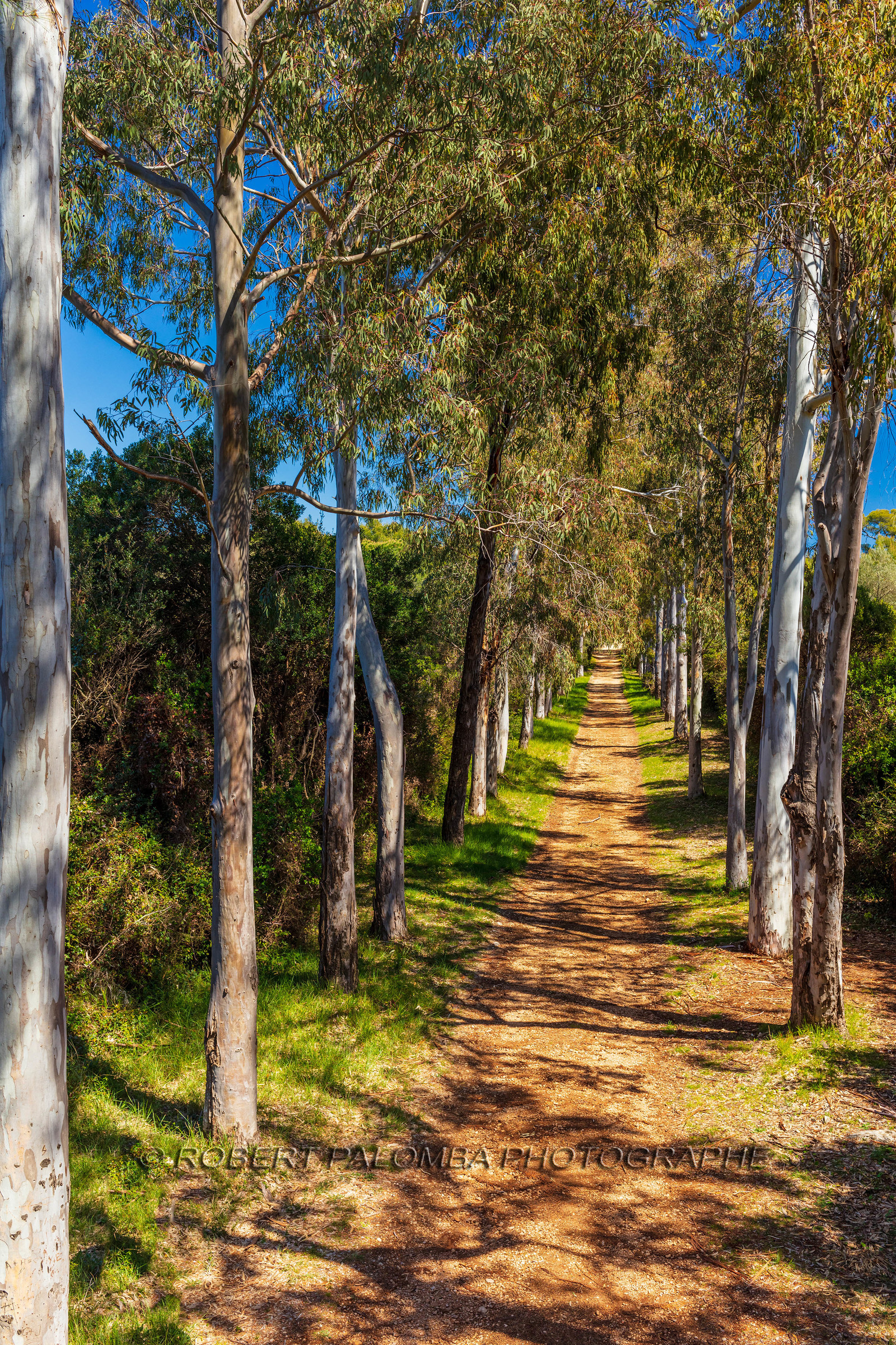 Lérins, Sainte-Marguerite