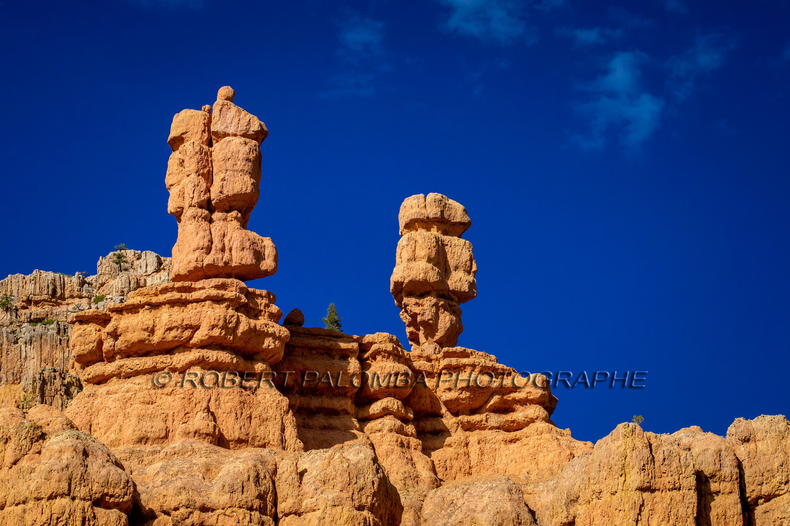 Sur la route en quittant Bryce Canyon