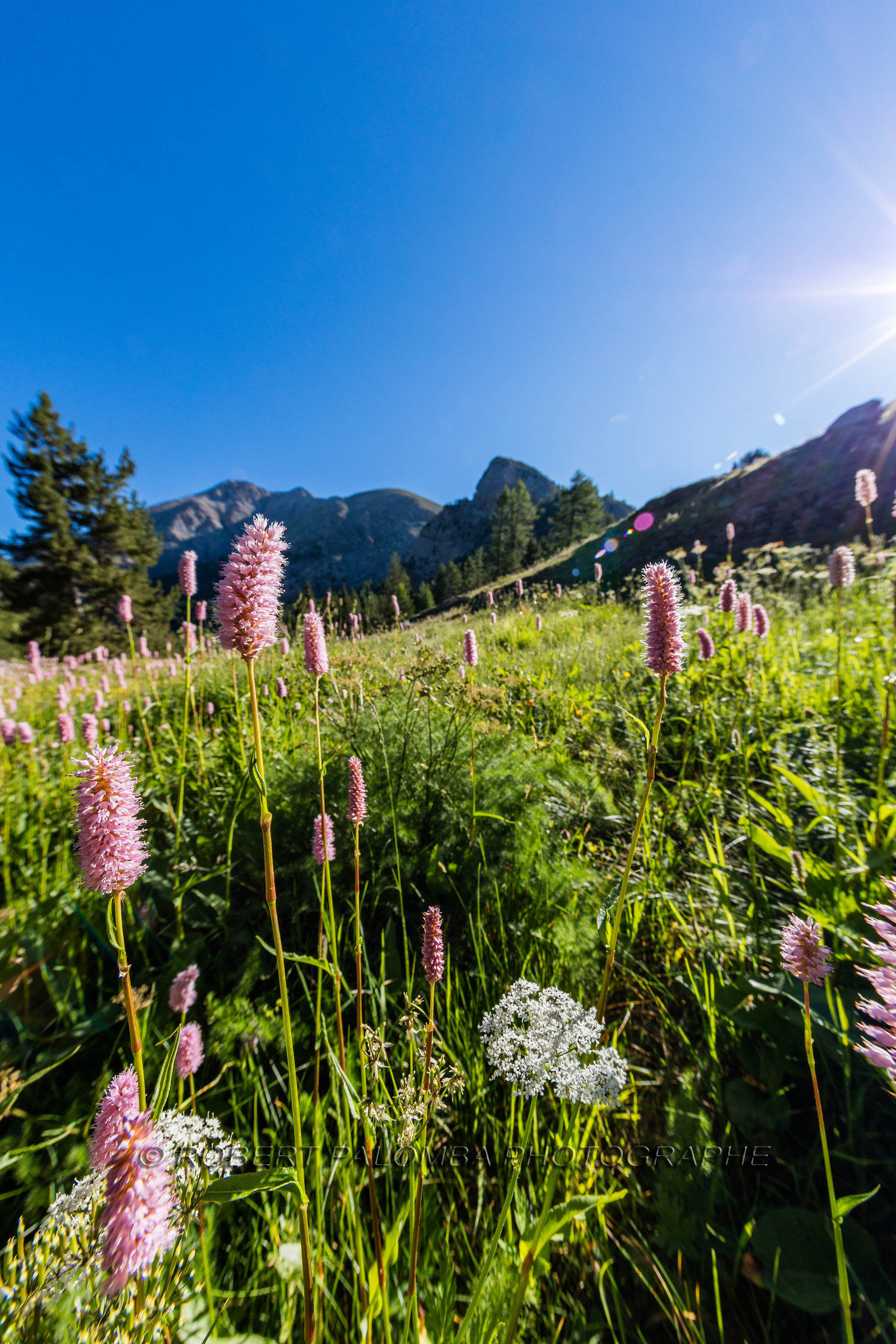 Lac d'Allos