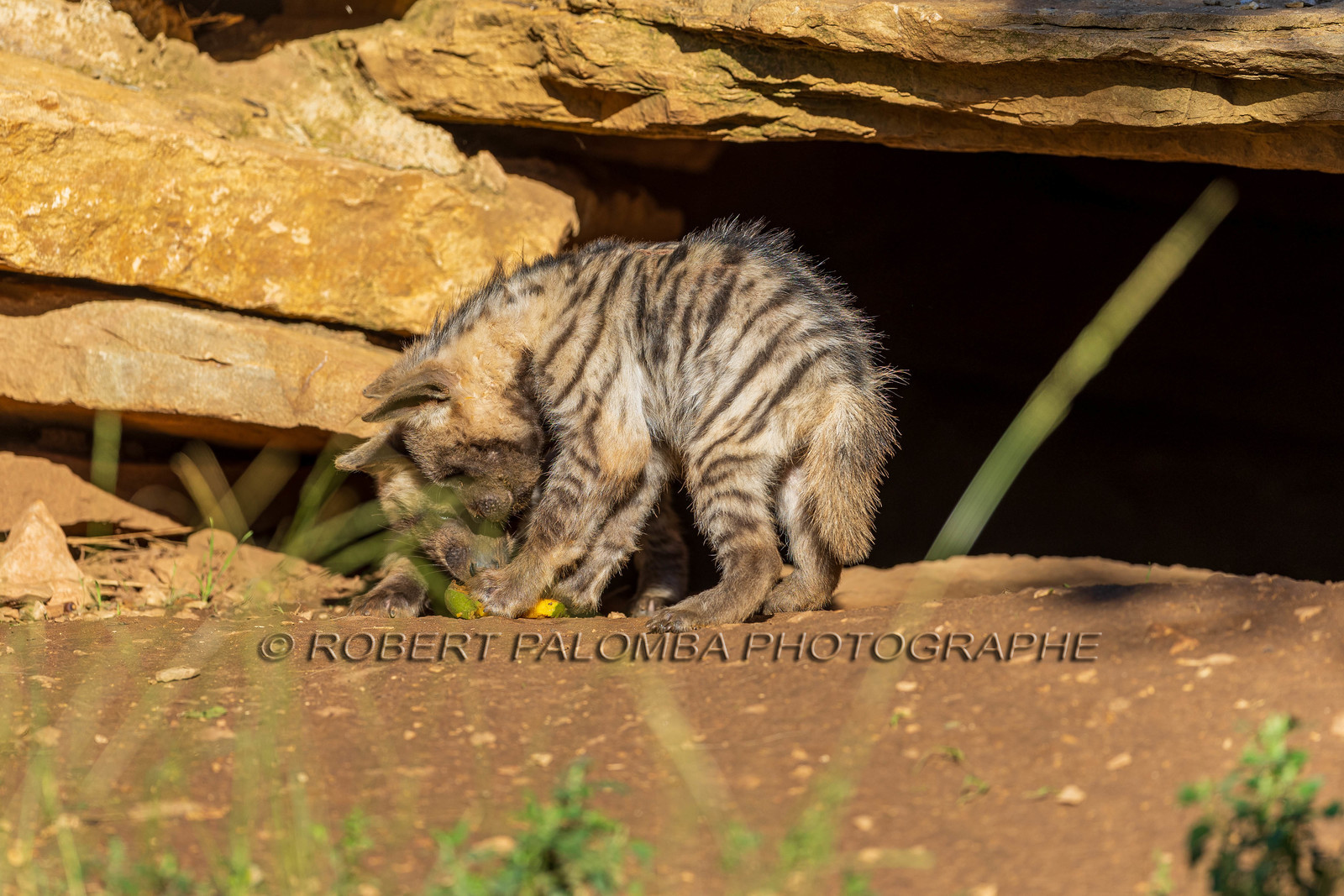 Parc animalier de la Barben