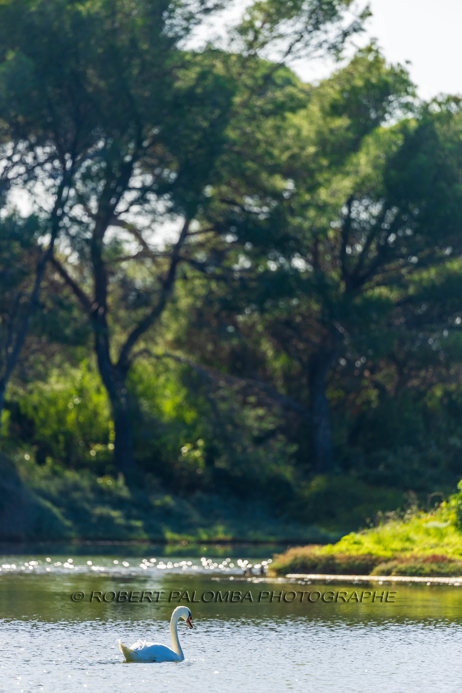Lérins Sainte-Marguerite
