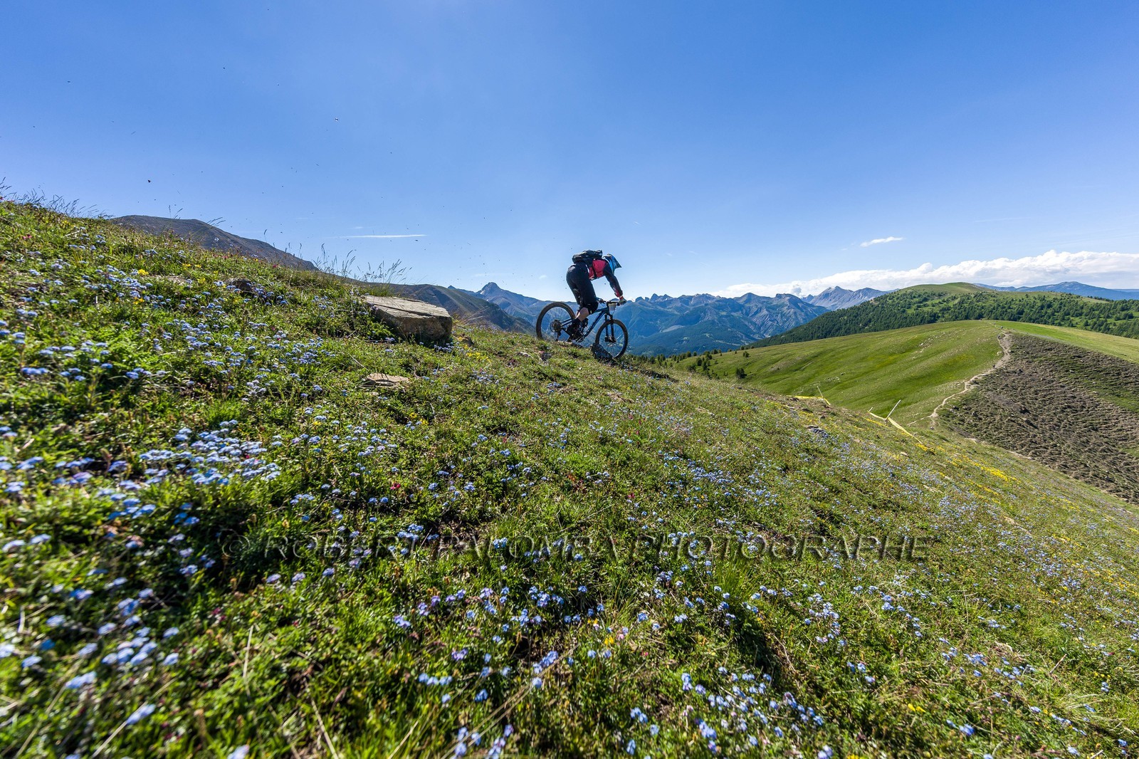 Vtt