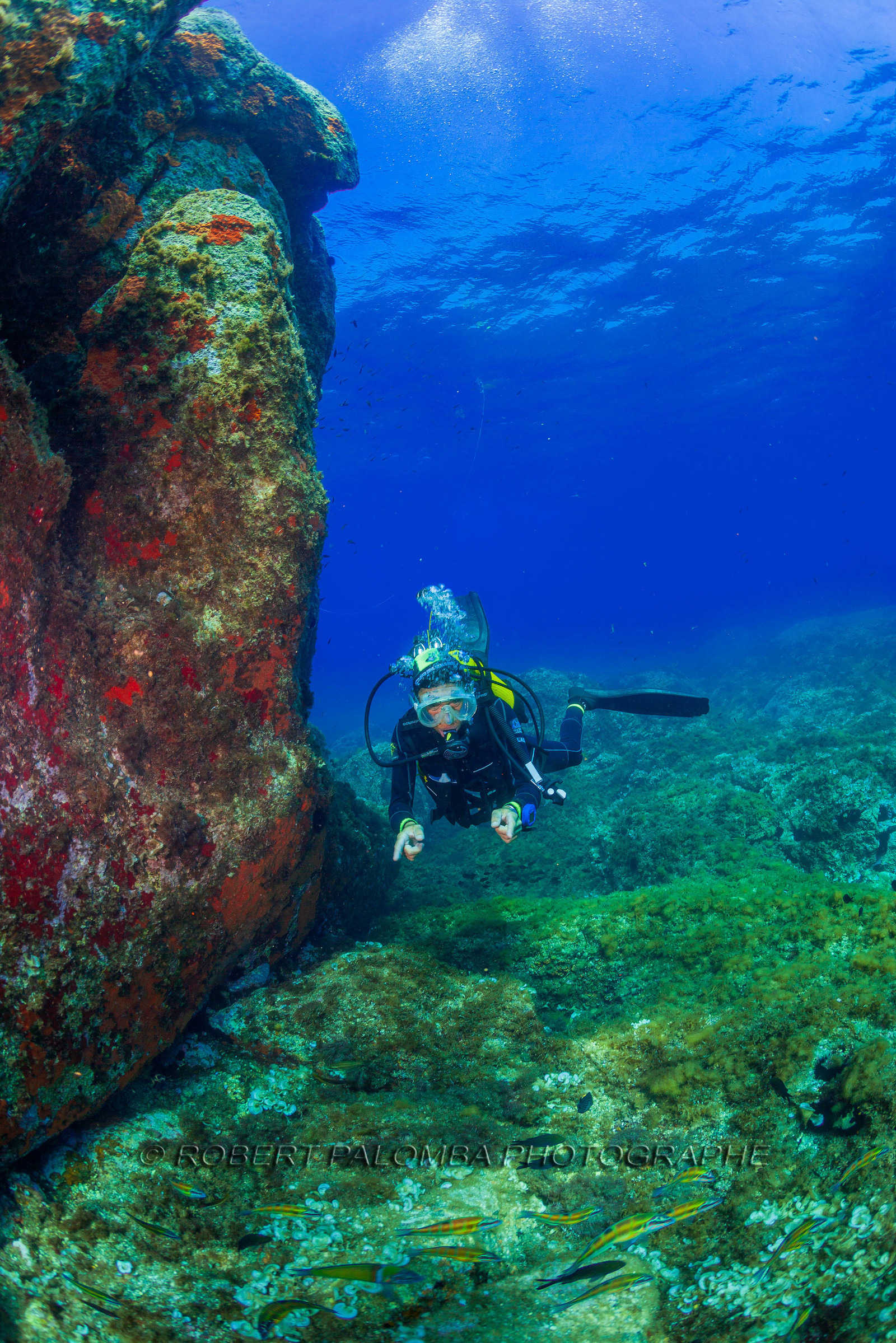 Plongée-sous-marine