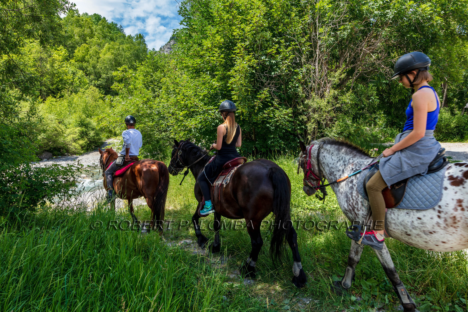 Equitation