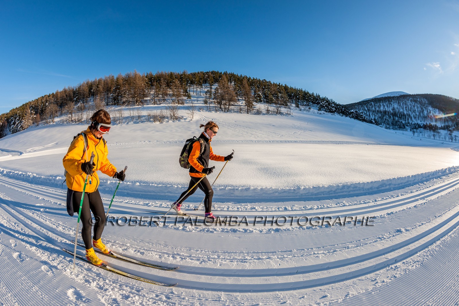 Ski de fond