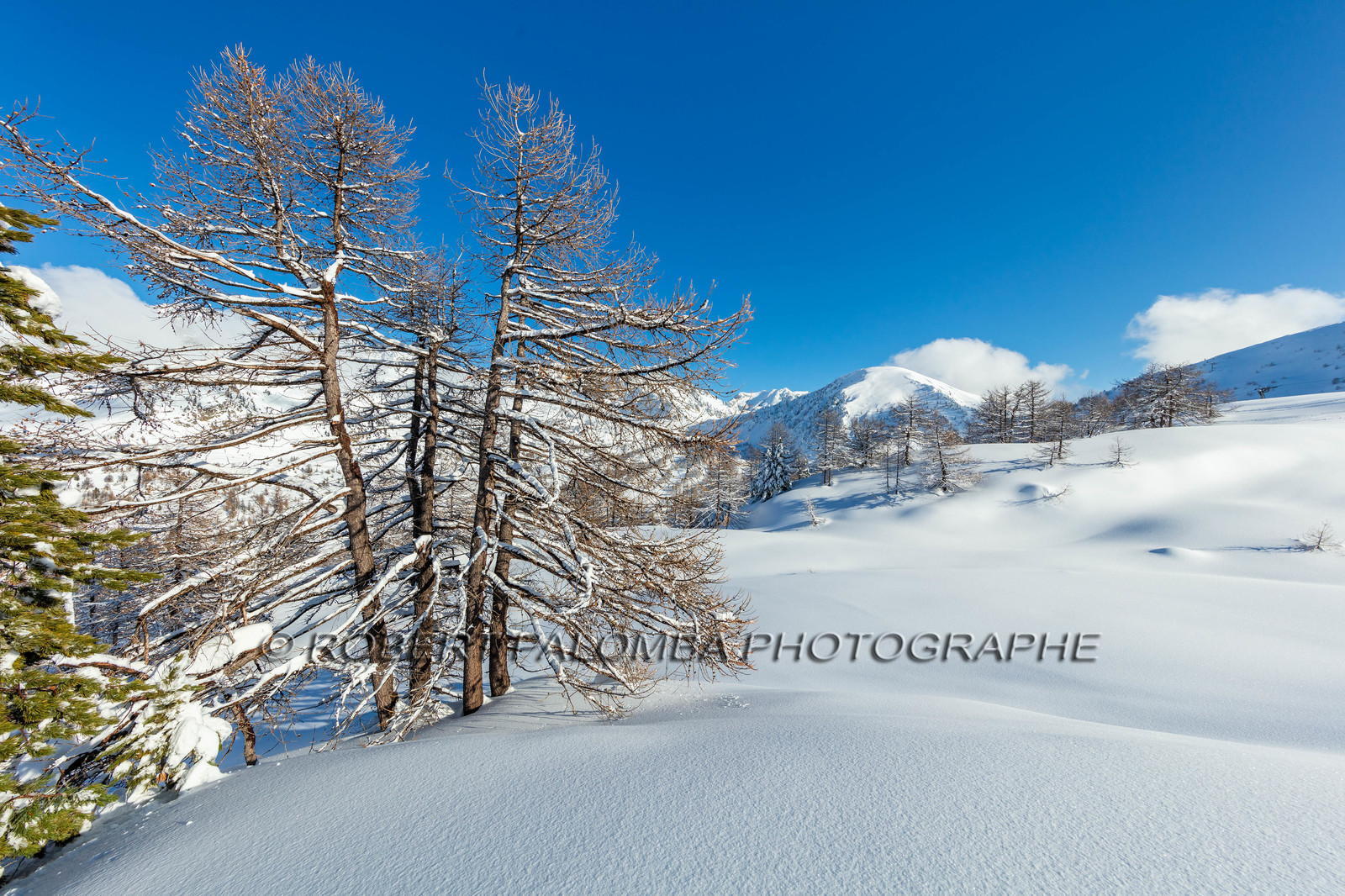 Isola 2000