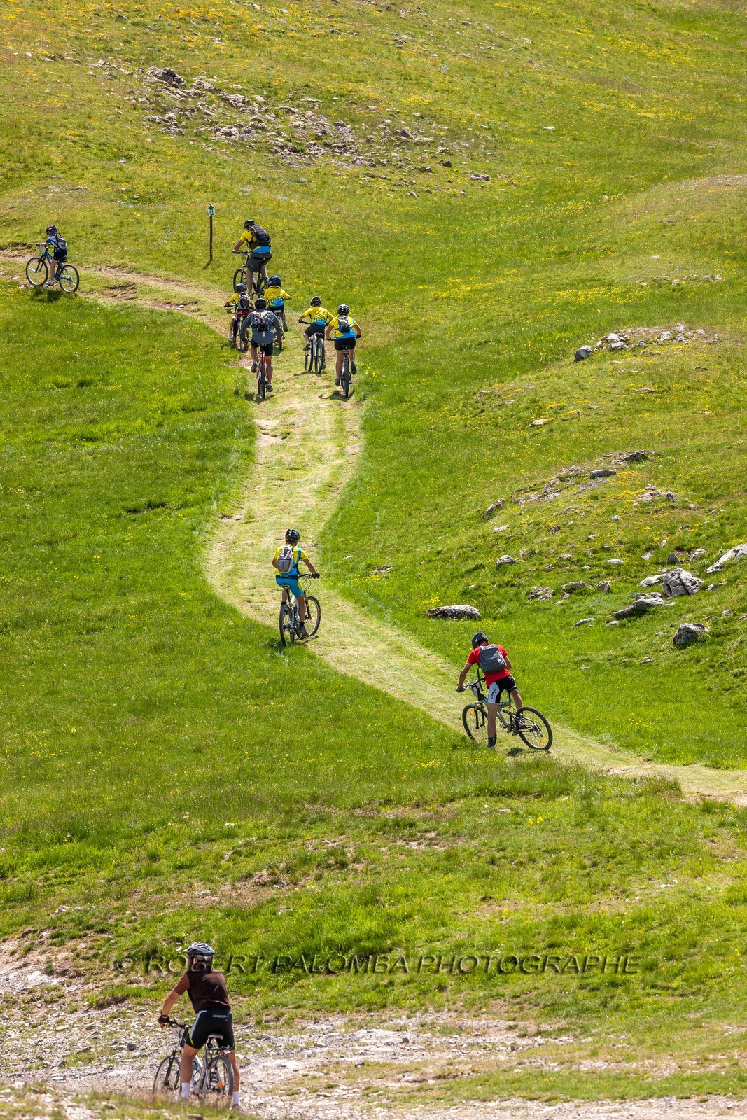 Vtt