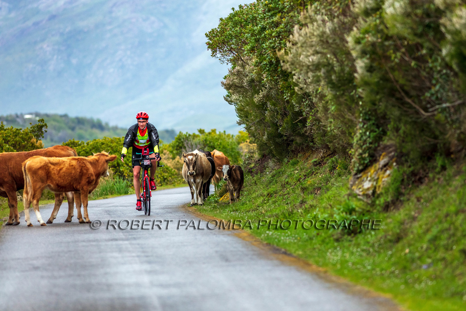 Bikingman Corsica 2019
