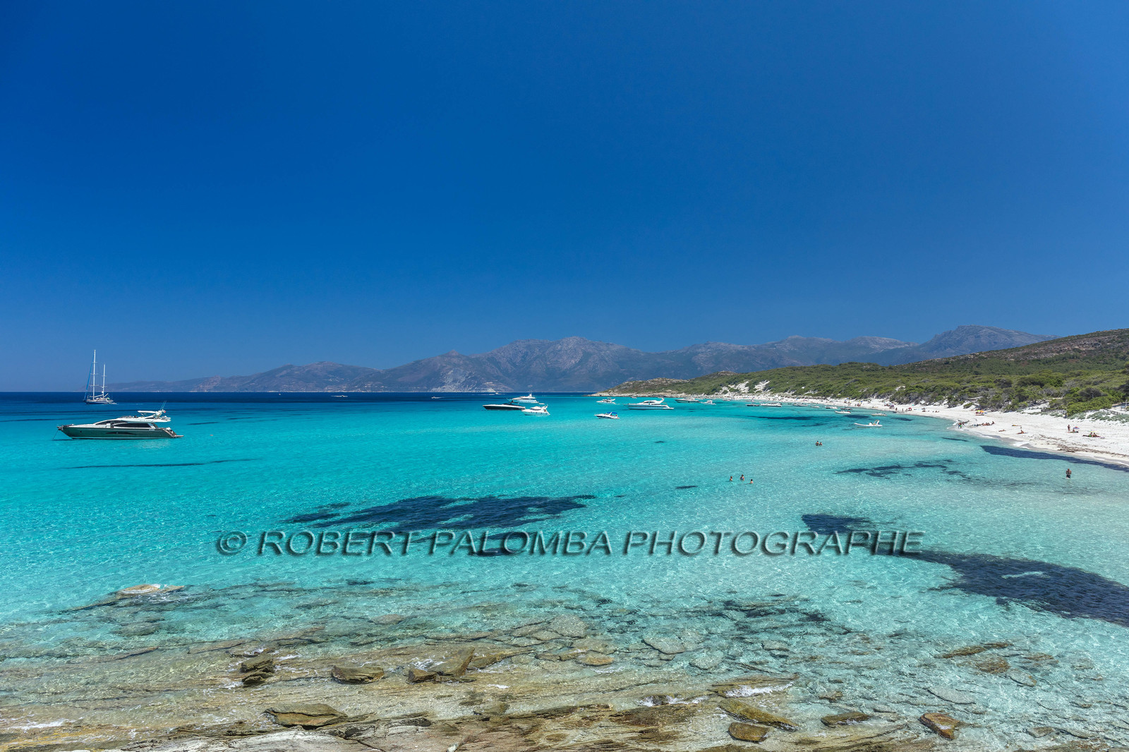 Saleccia