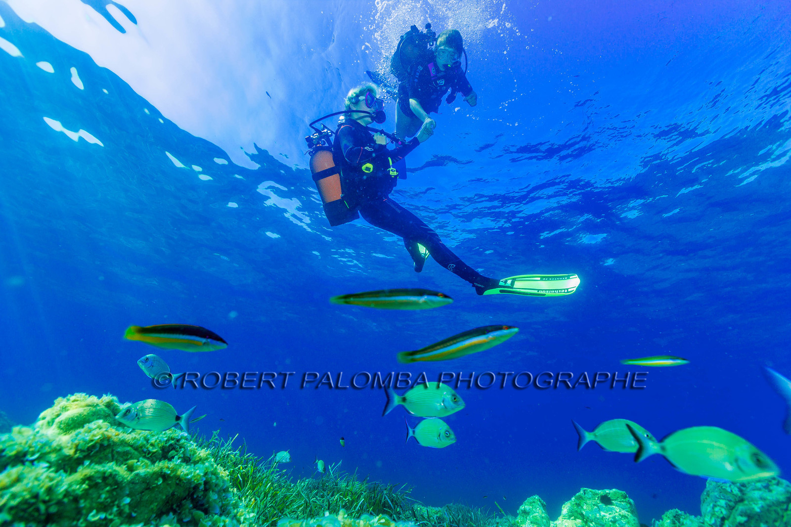 Plongée-sous-marine