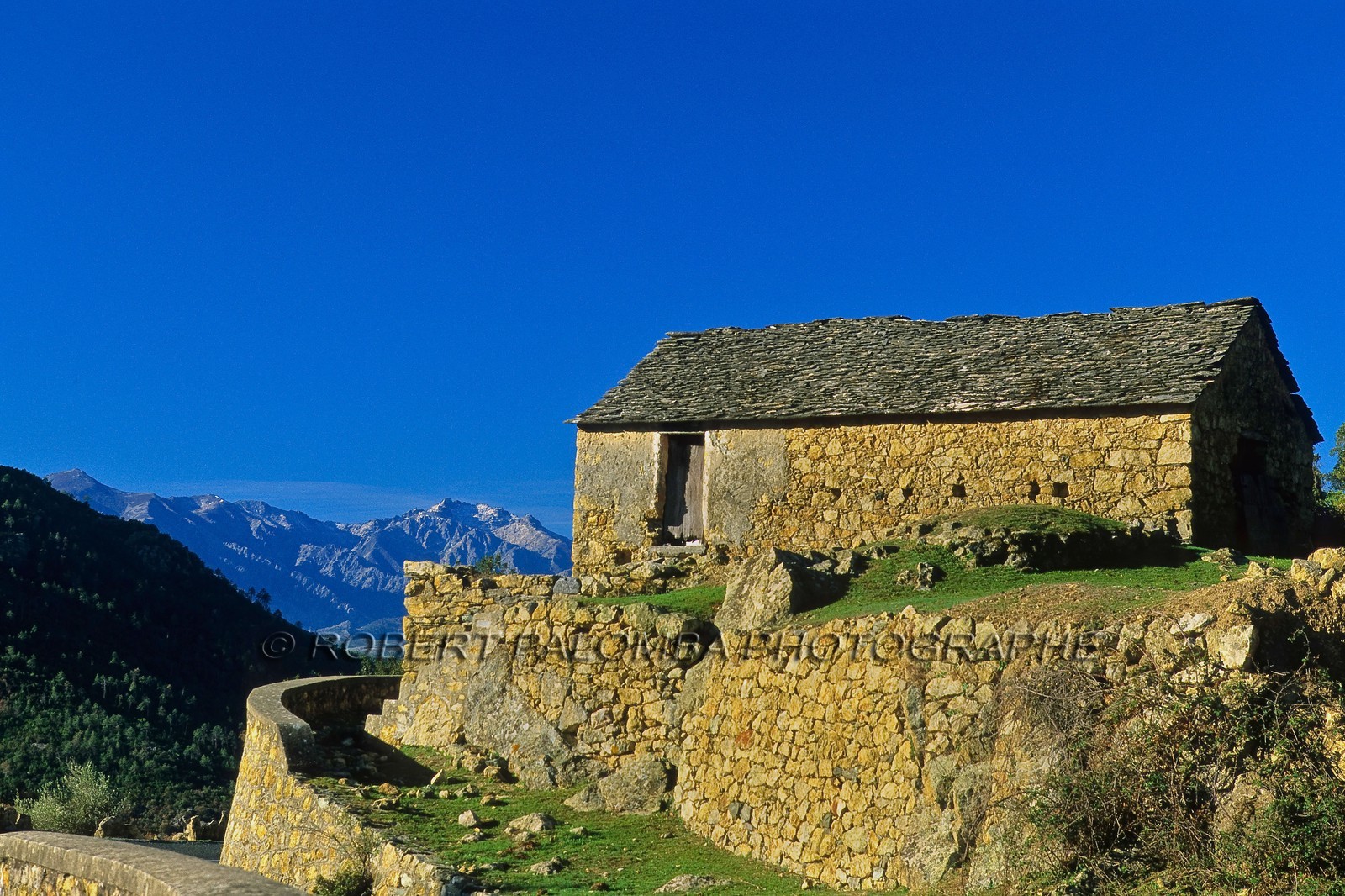 Morosaglia
