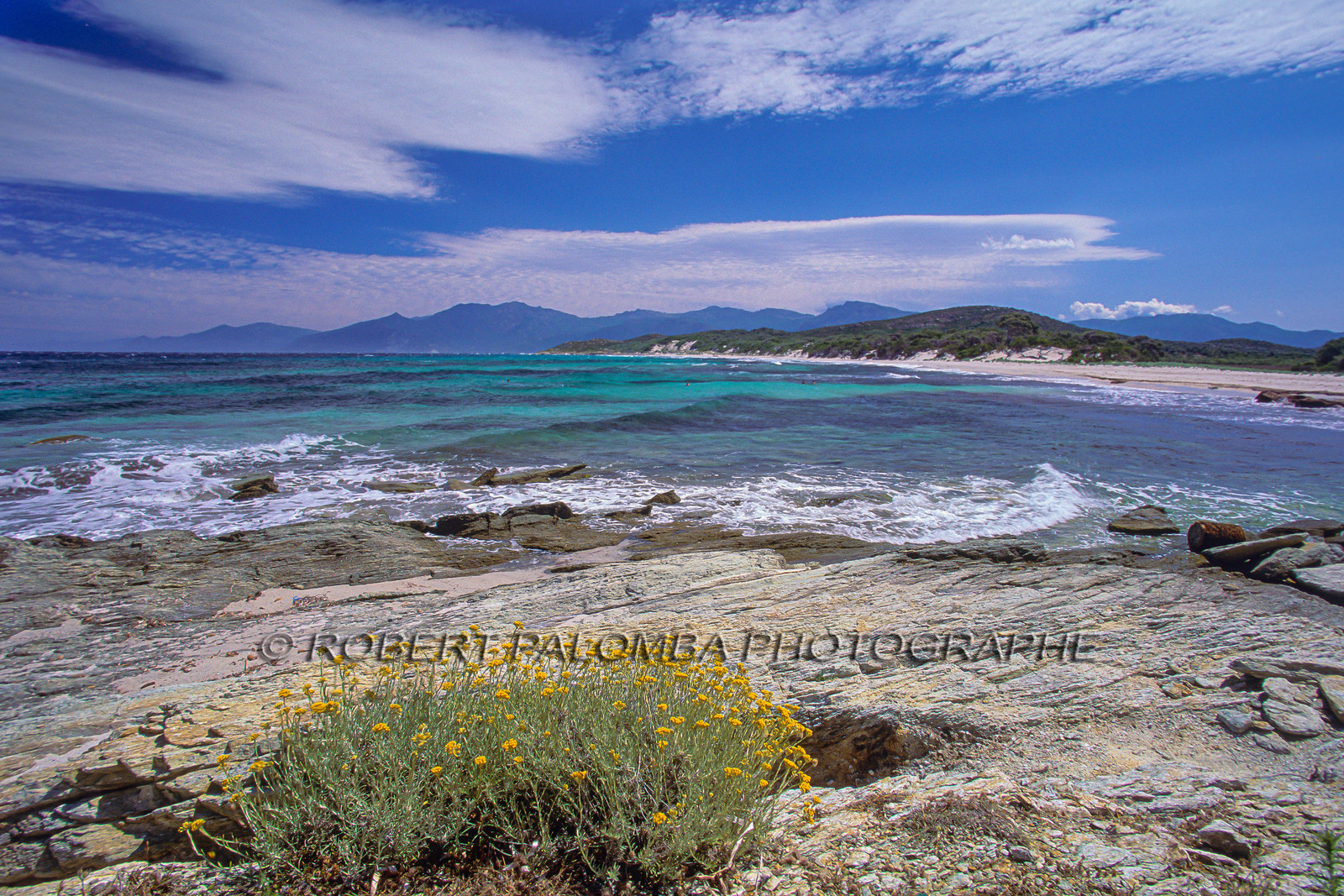 Saleccia