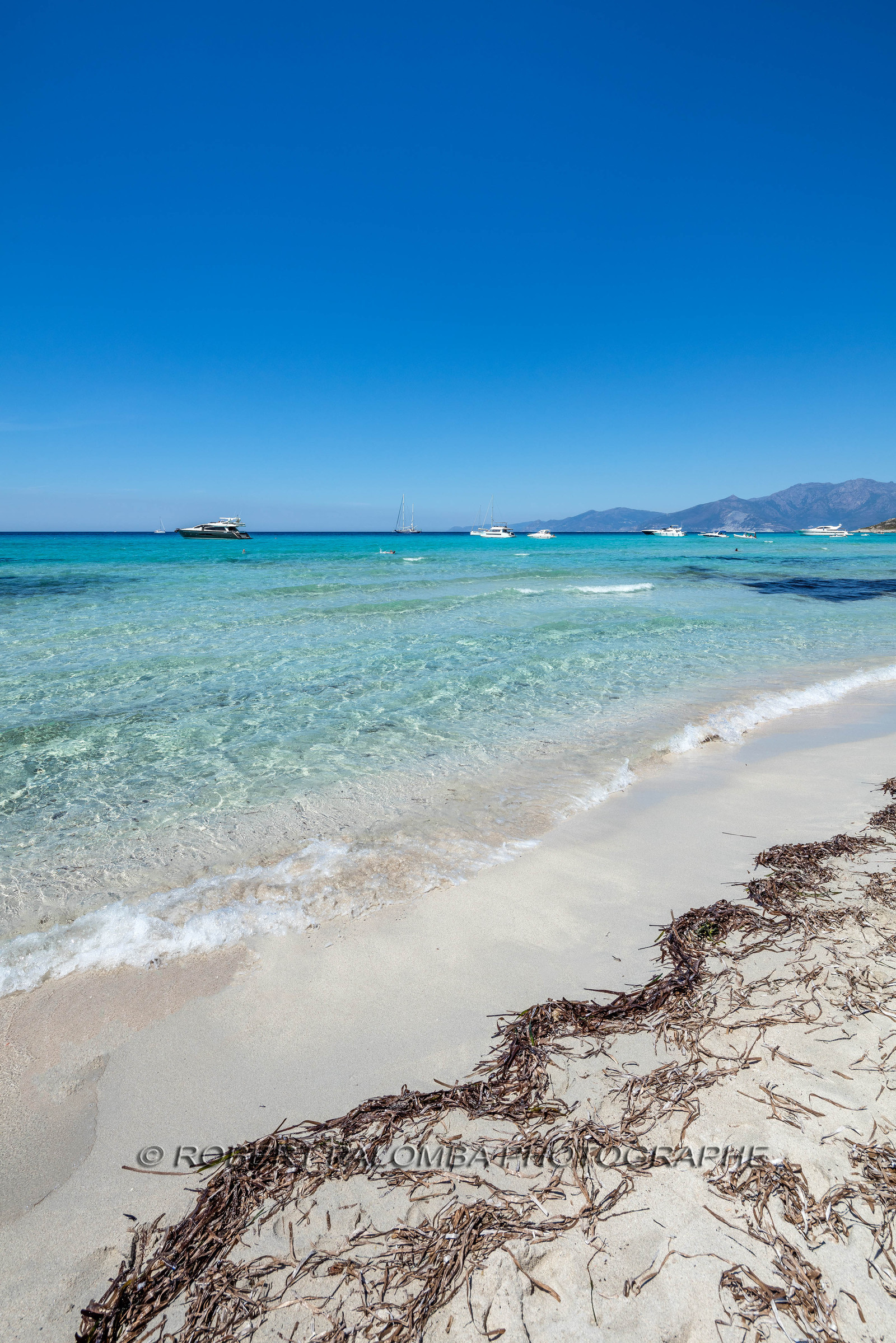 Saleccia
